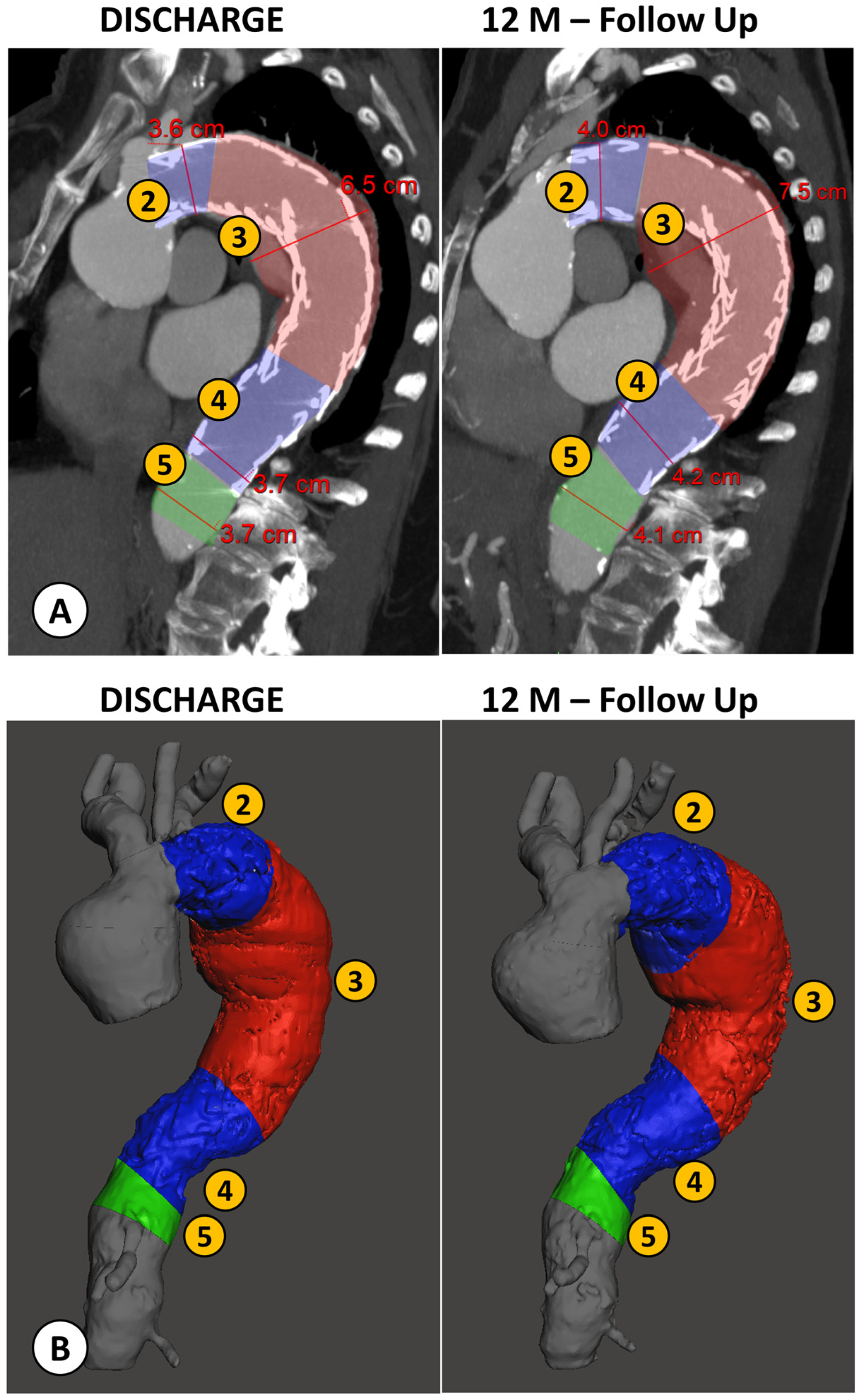 Applsci 14 06948 g004