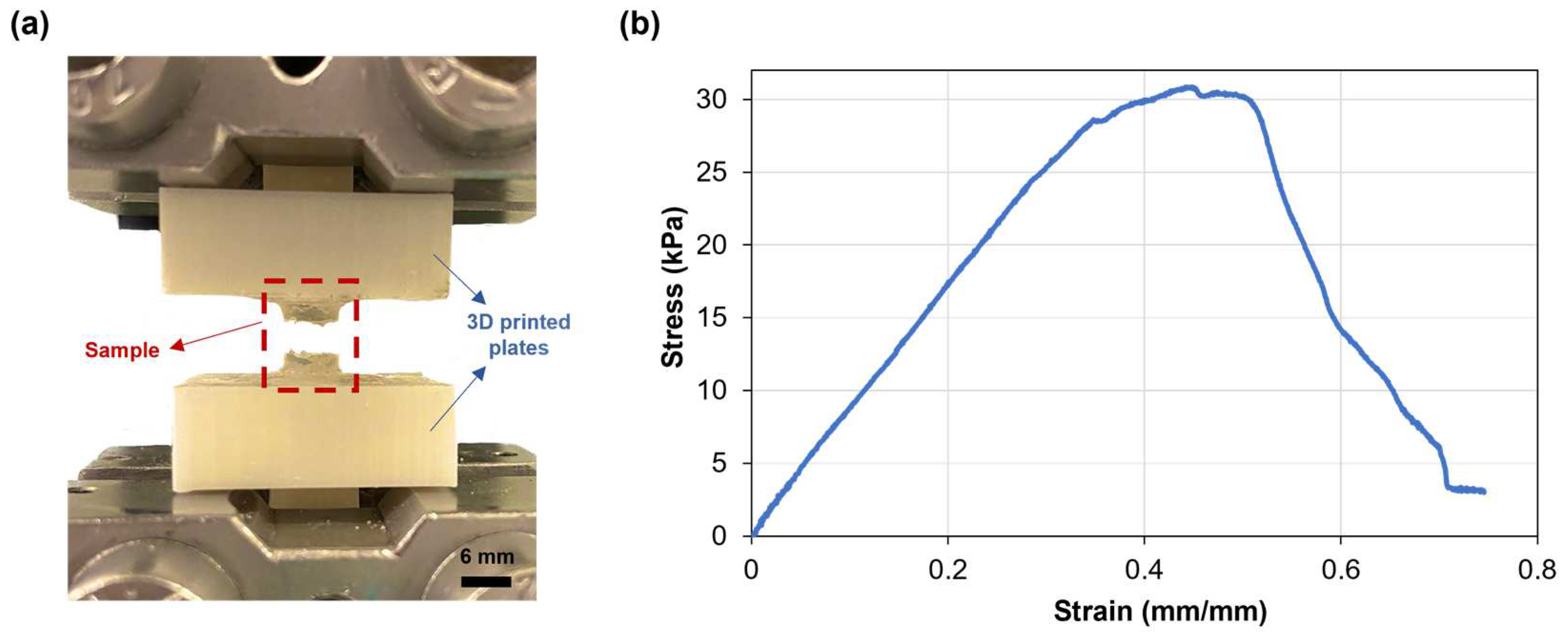 Applsci 14 06980 g004