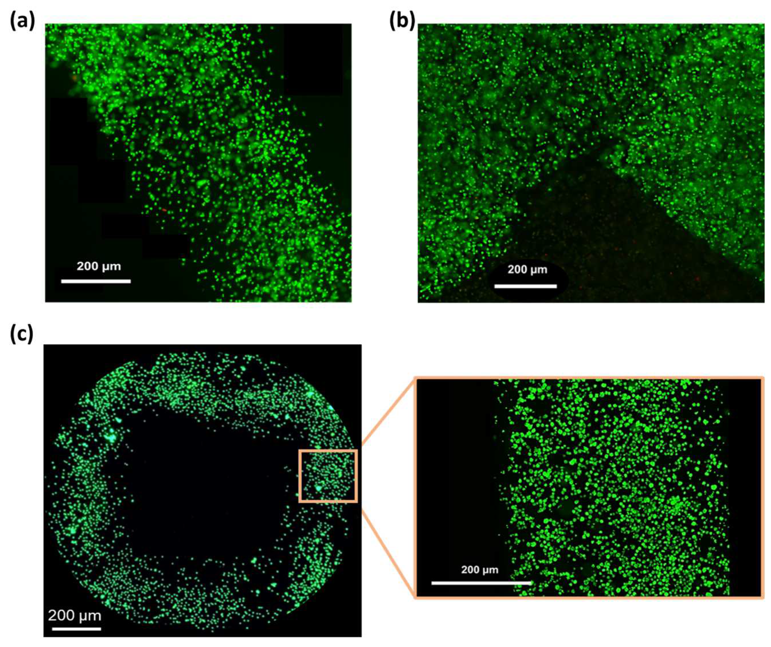 Applsci 14 06980 g008