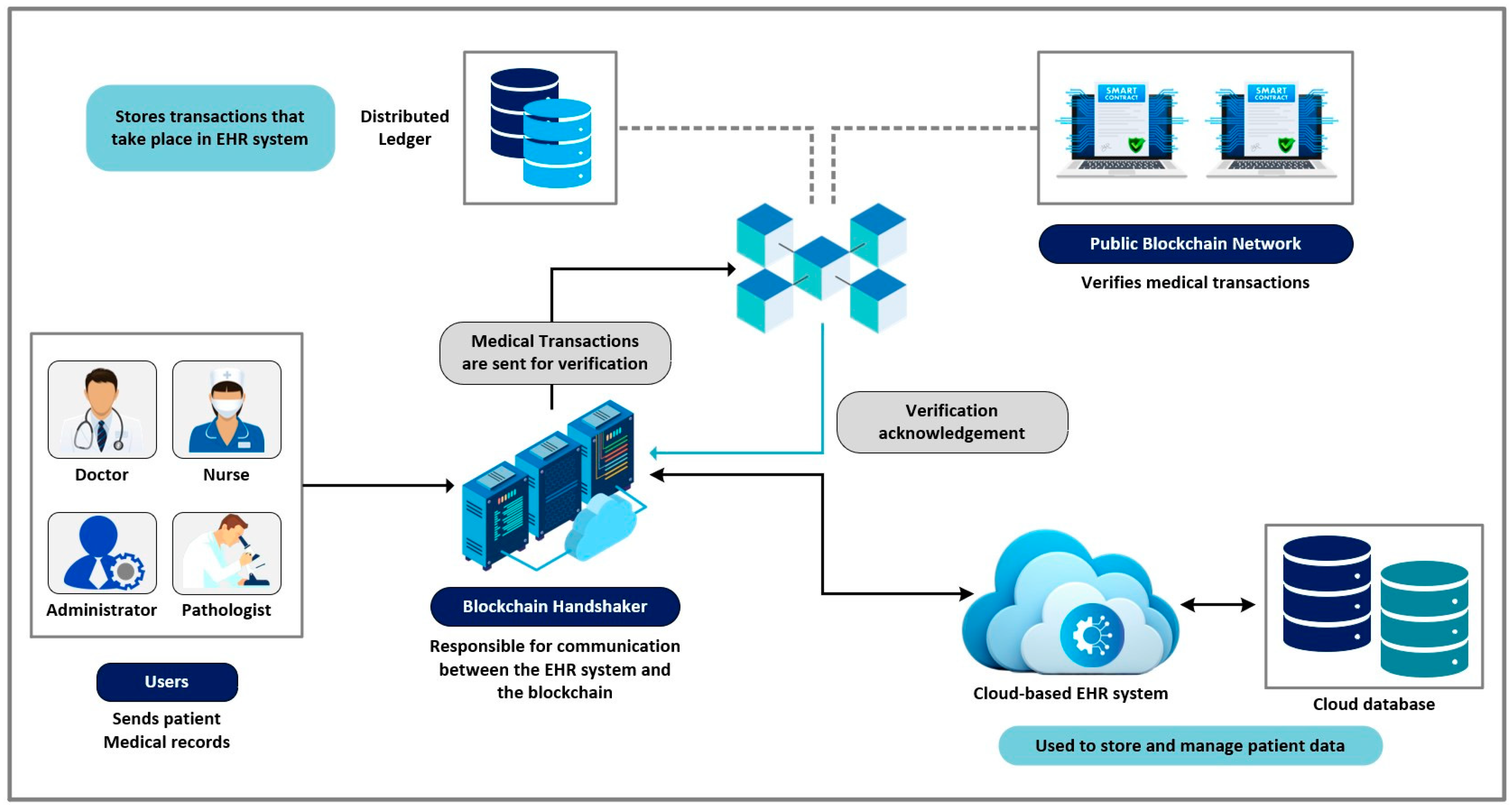 Applsci 14 07007 g019
