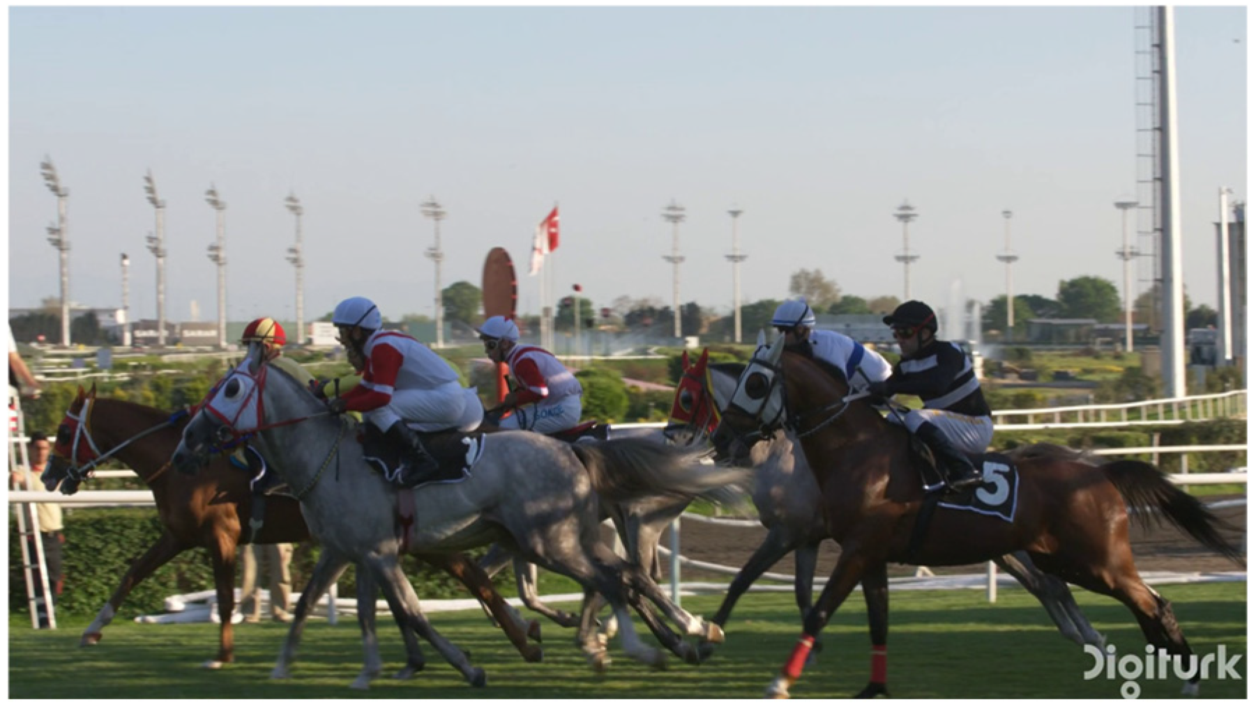 Applsci 14 07029 g001