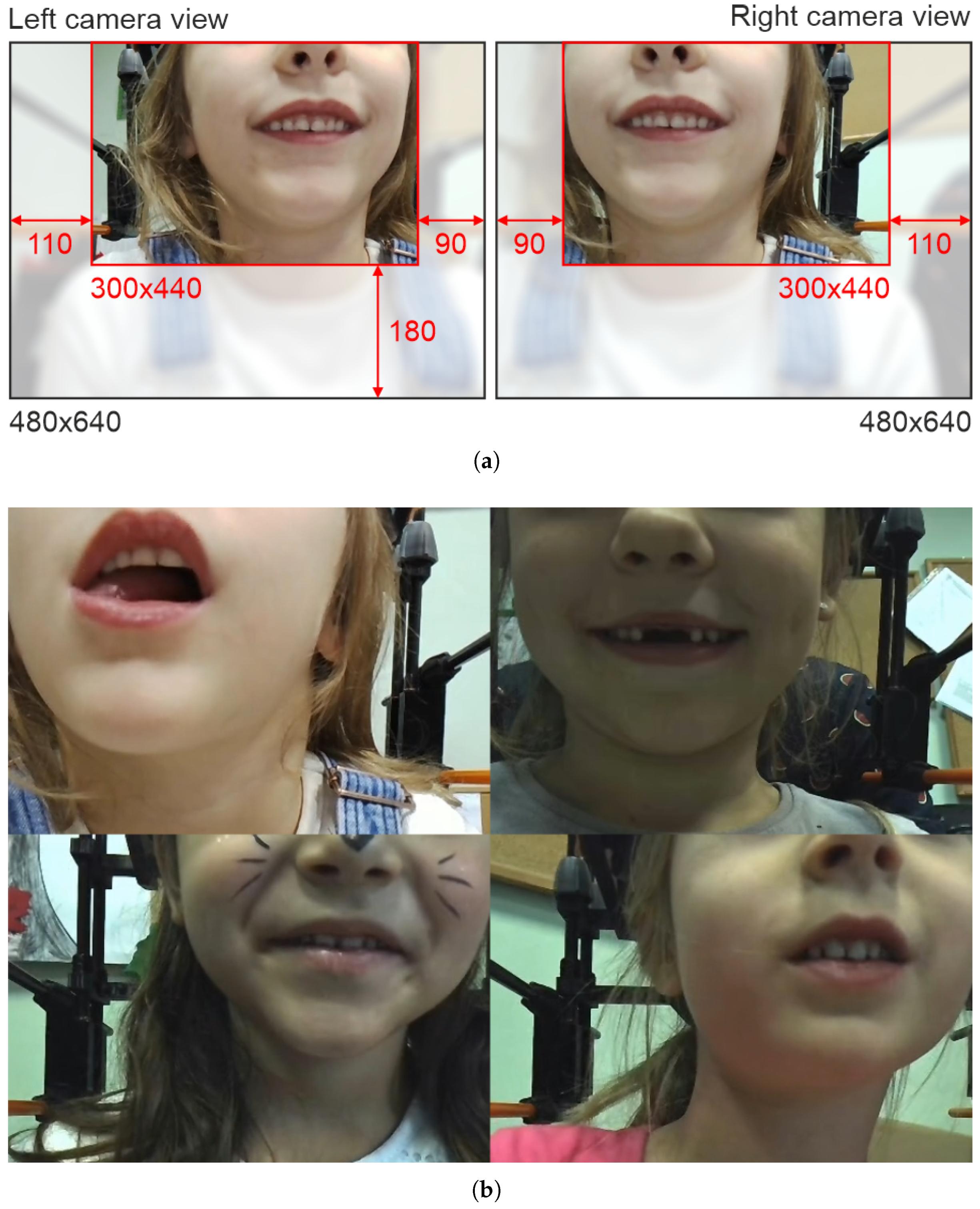 Applsci 14 07146 g005