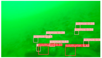 Applsci 14 07162 i002