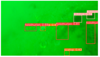 Applsci 14 07162 i006