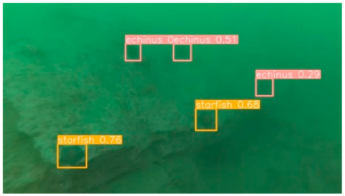 Applsci 14 07162 i007