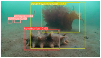 Applsci 14 07162 i009