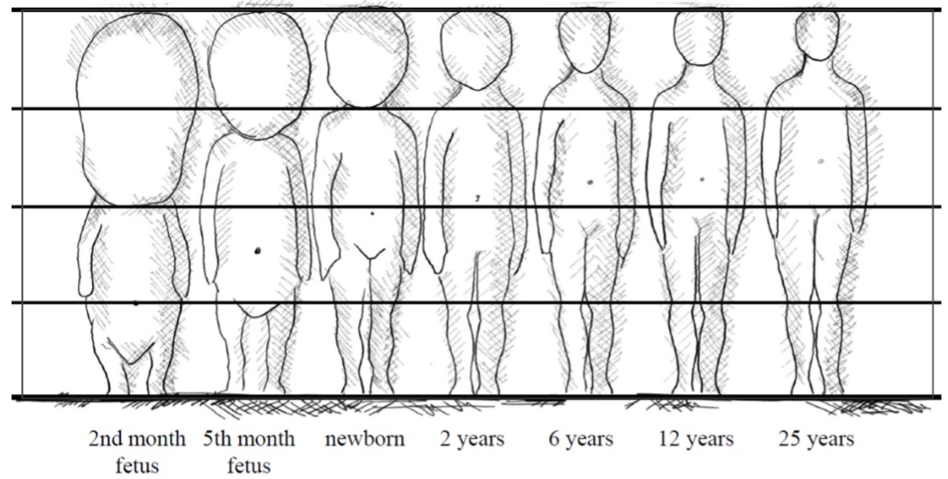 Applsci 14 07185 g001 Applsci 14 07185 g001