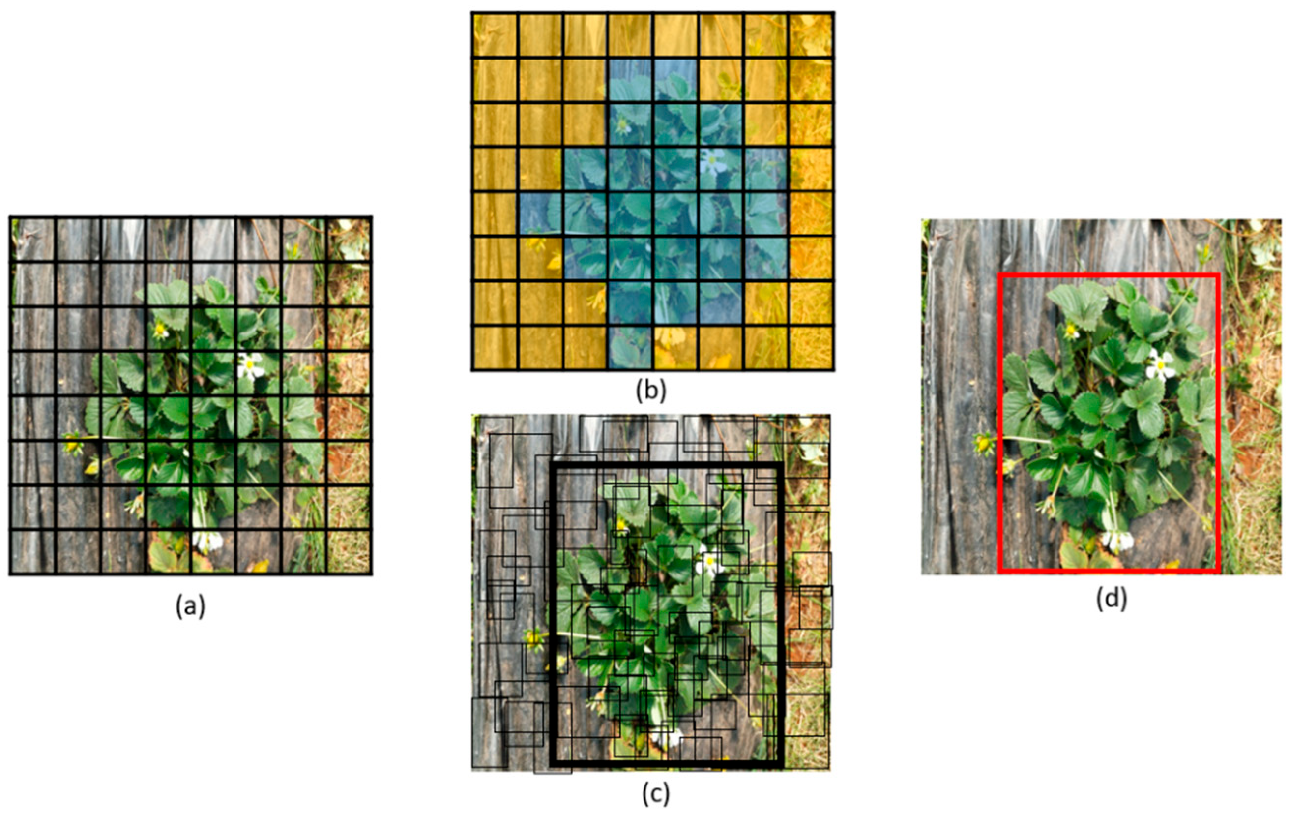 Applsci 14 07195 g004