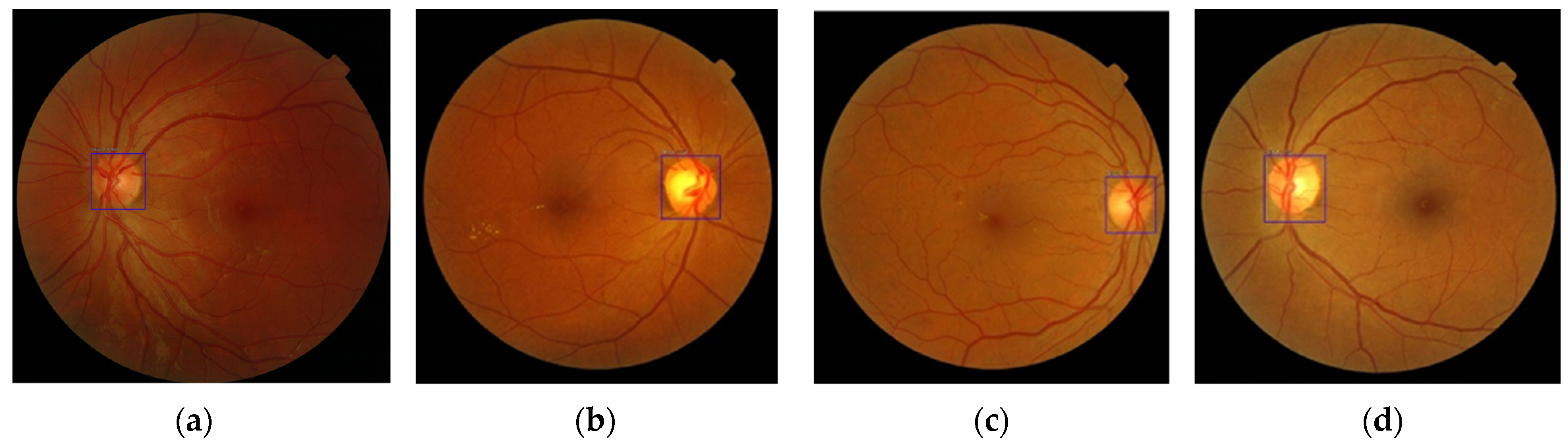 Applsci 14 07262 g008