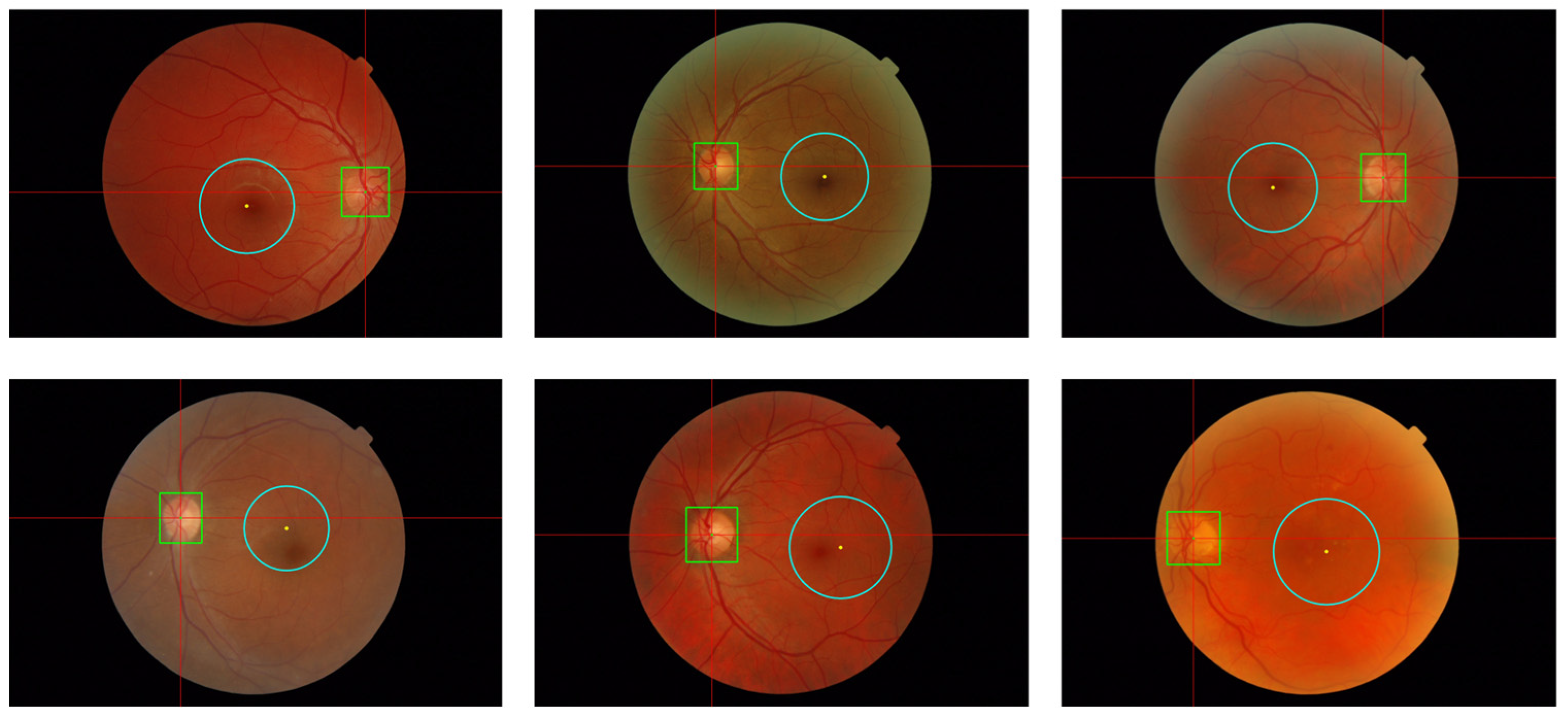 Applsci 14 07262 g009