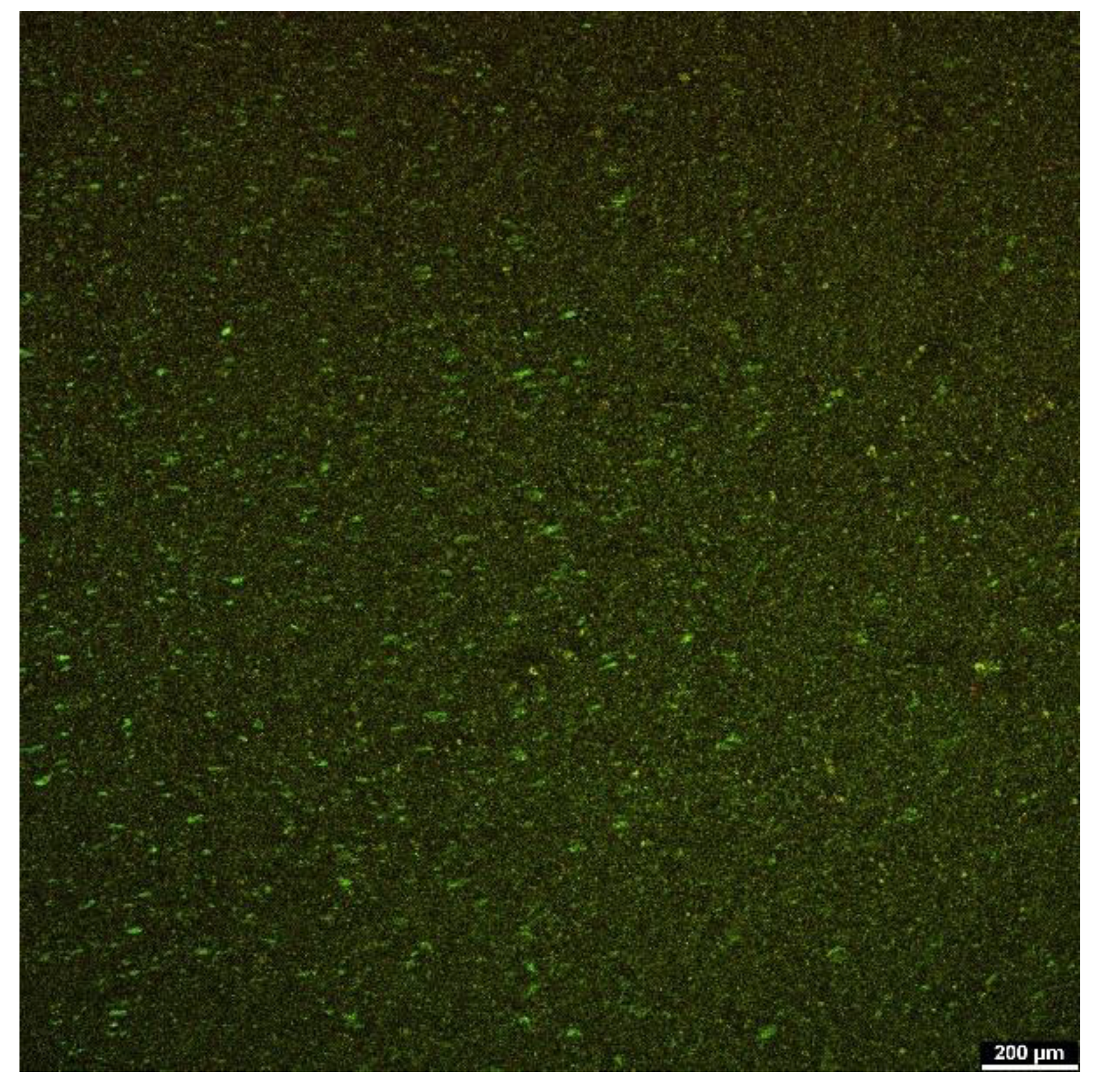 Applsci 14 07288 g023