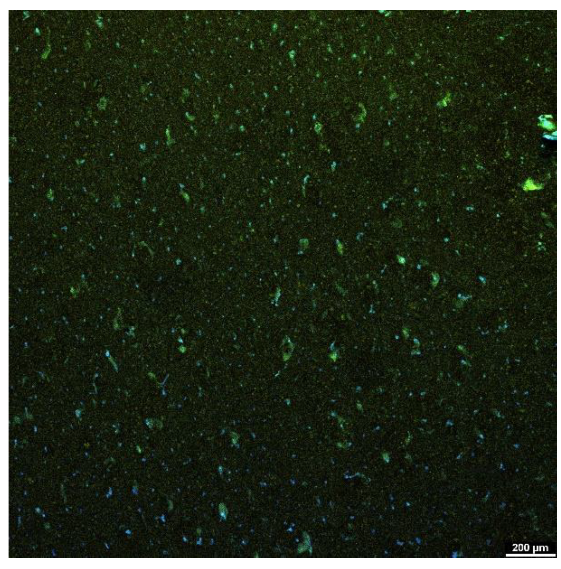 Applsci 14 07288 g024