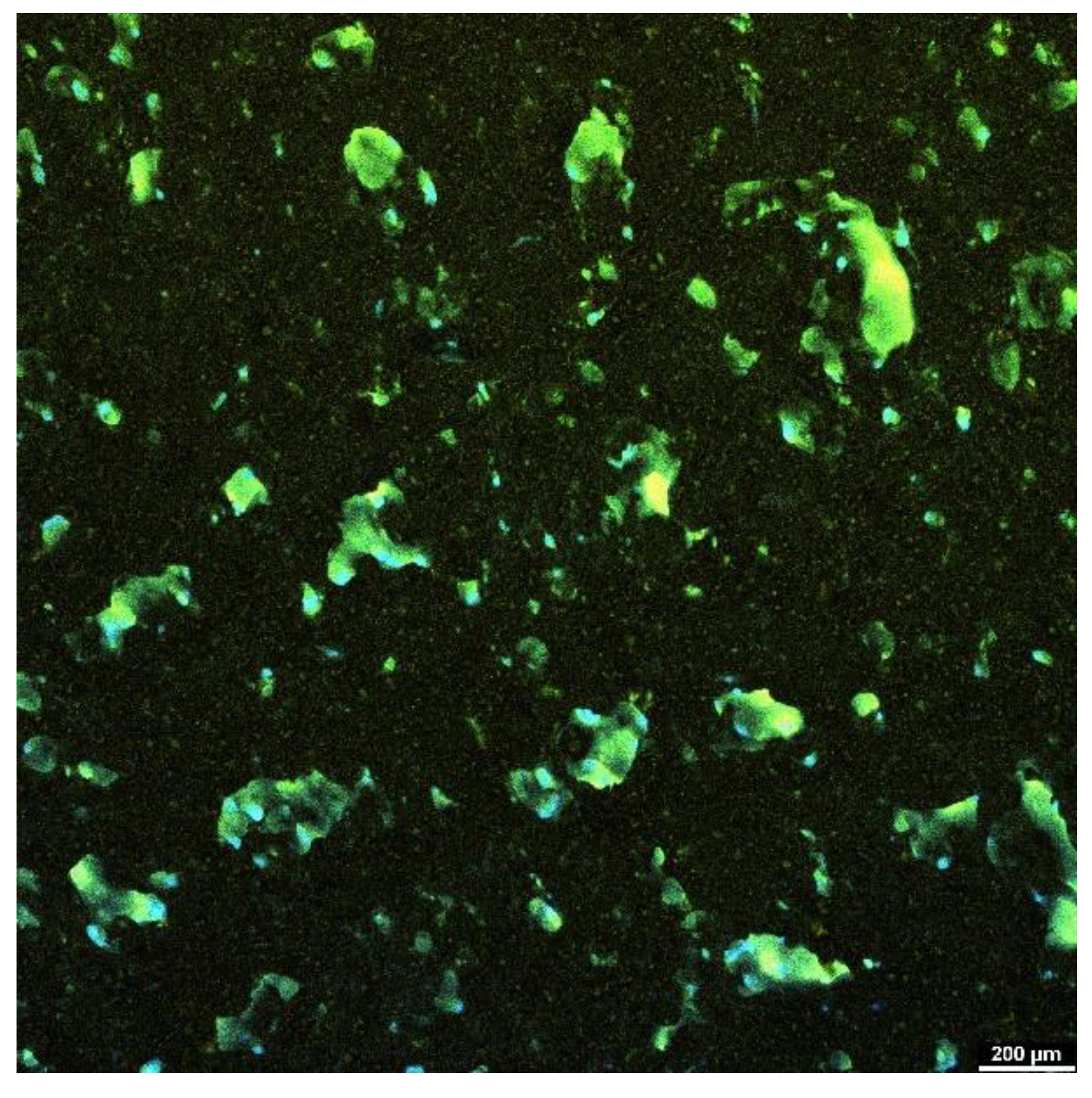 Applsci 14 07288 g025