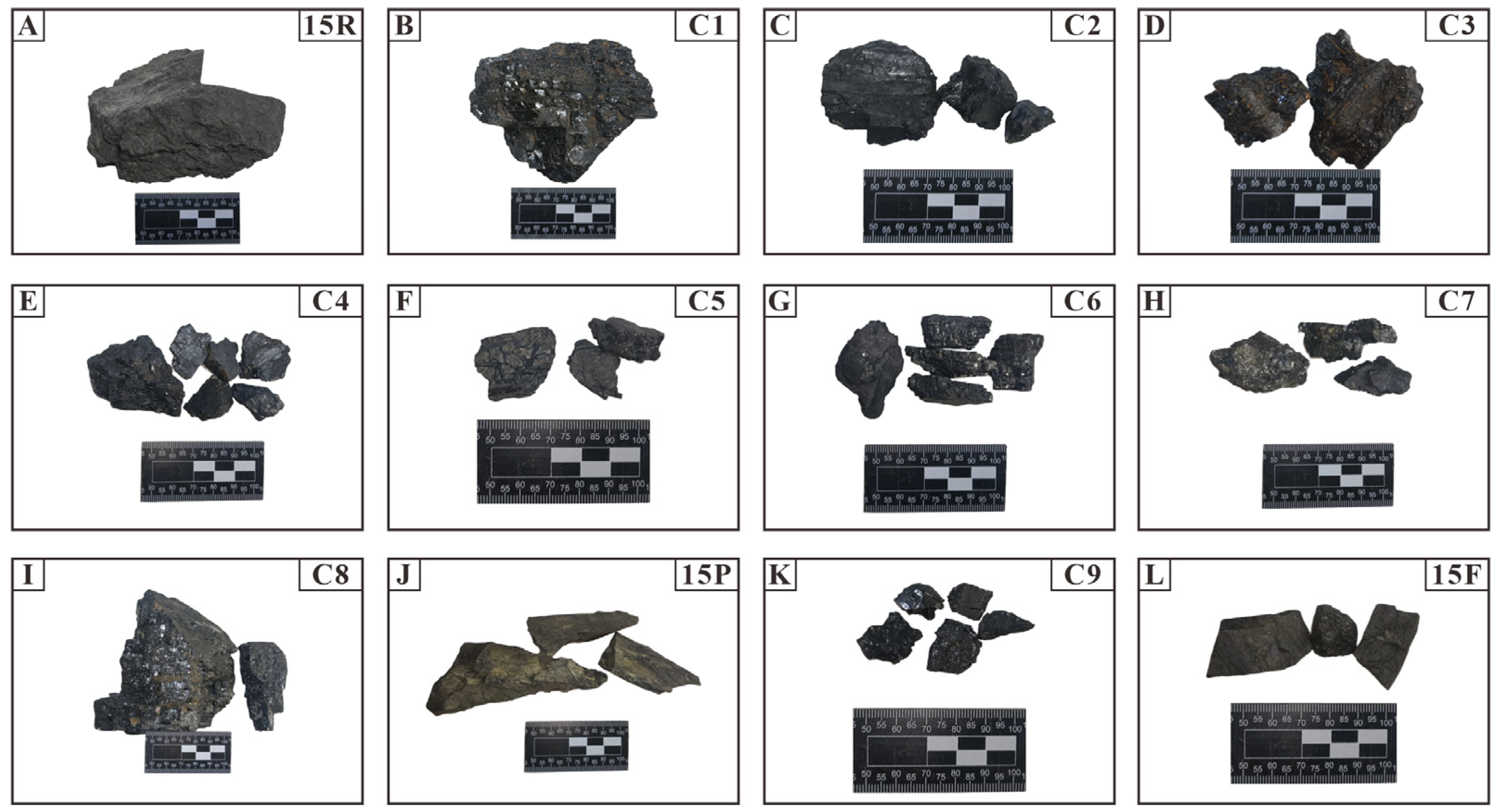 Applsci 14 07298 g002