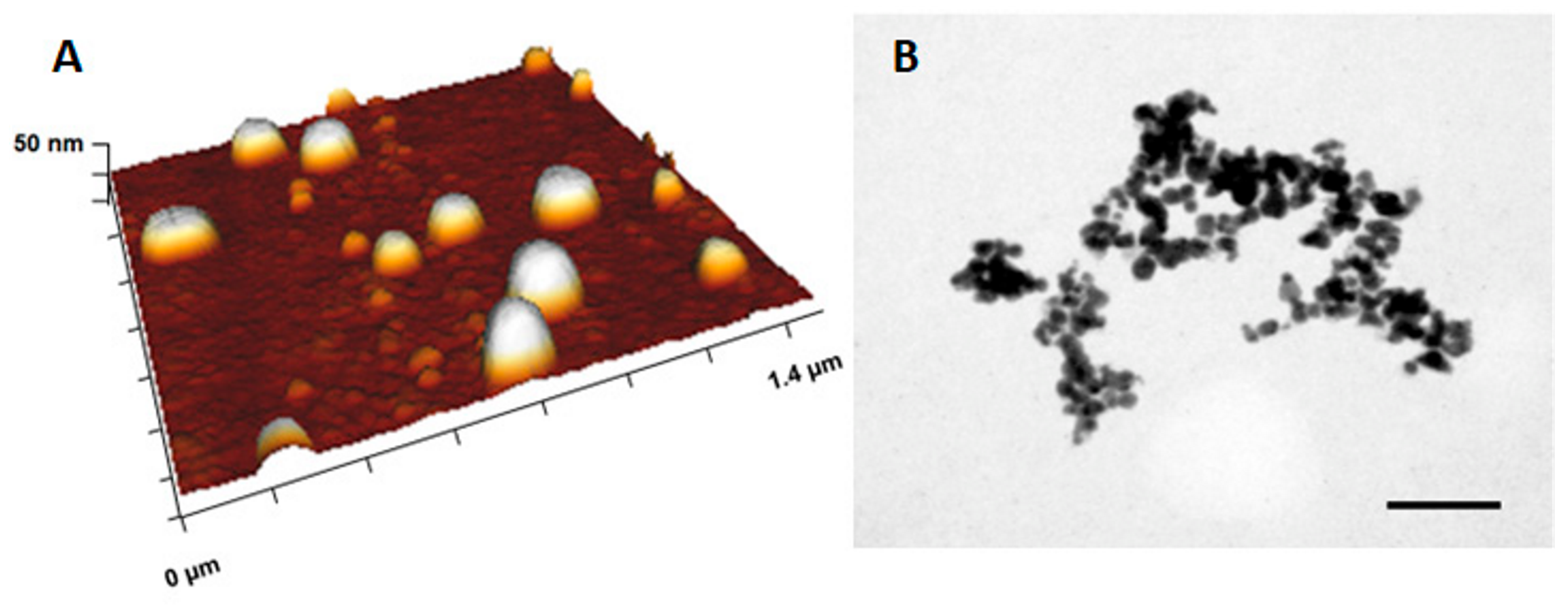 Applsci 14 07309 g005