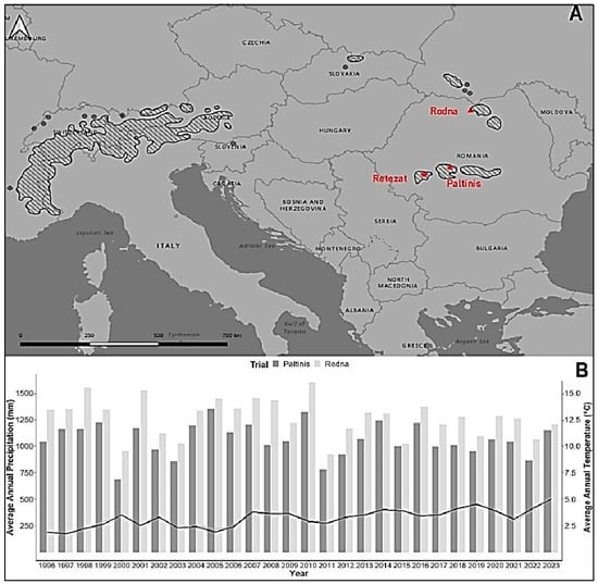 Applsci 14 07428 g001