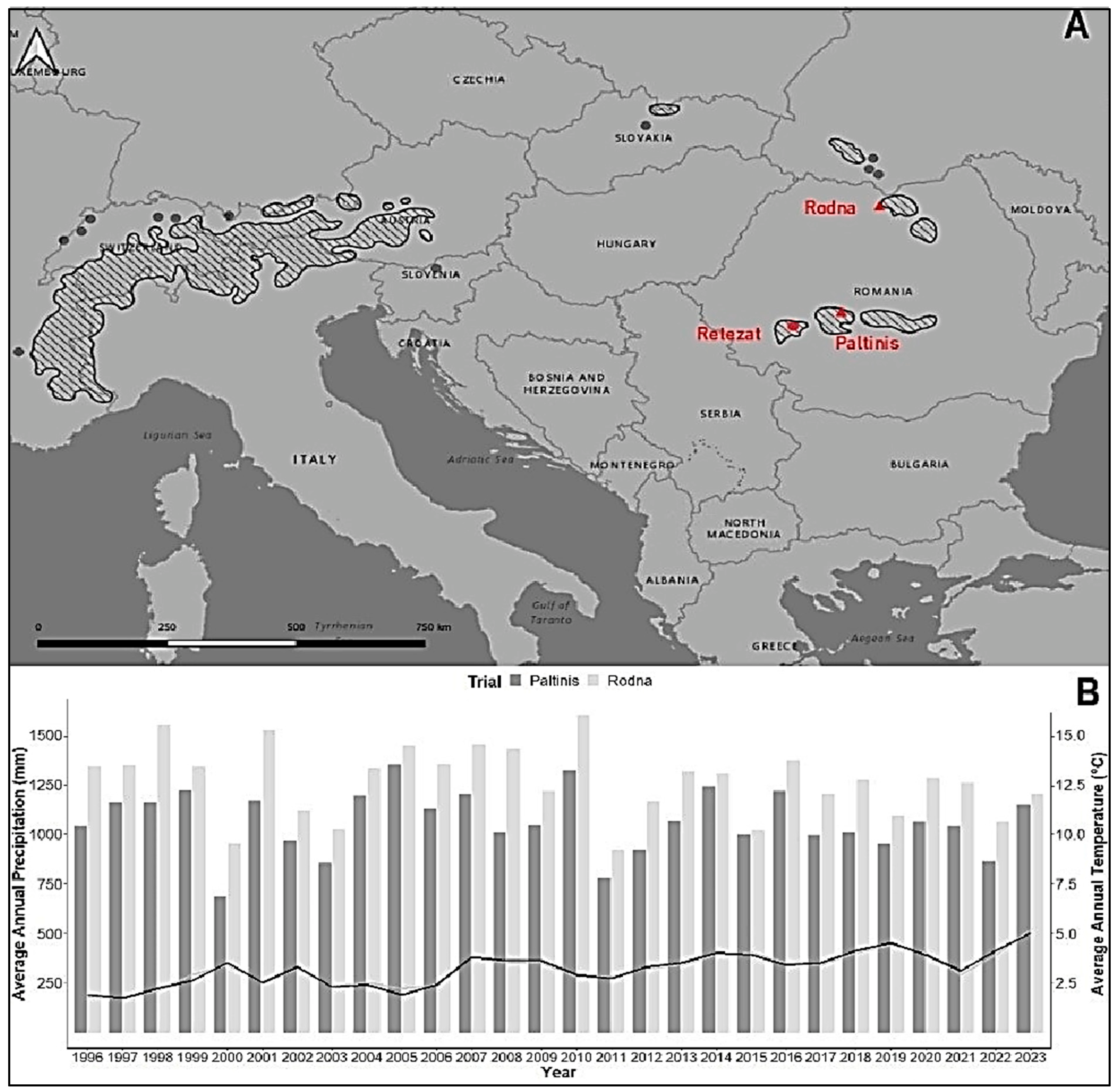 Applsci 14 07428 g001