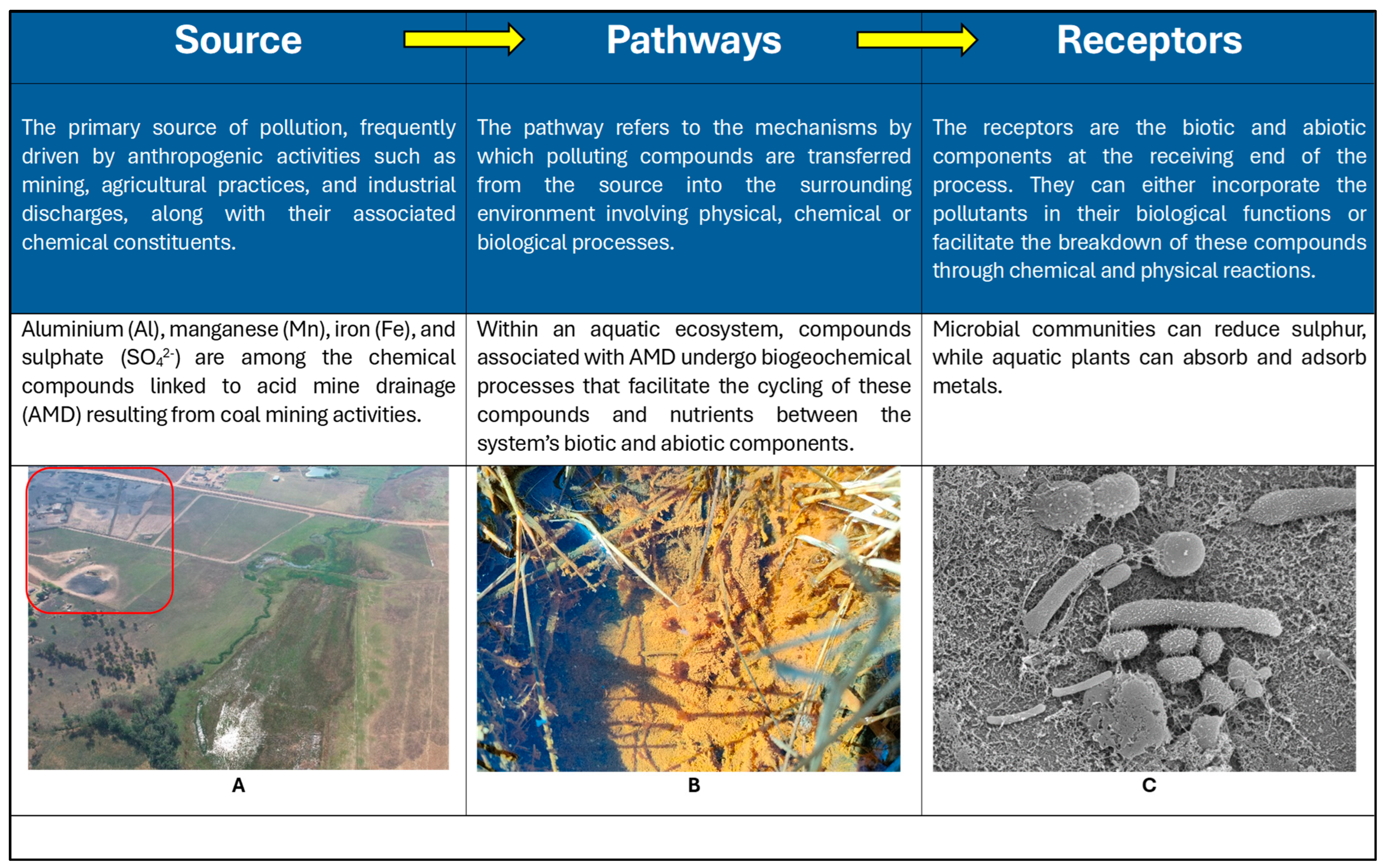 Applsci 14 07441 g001