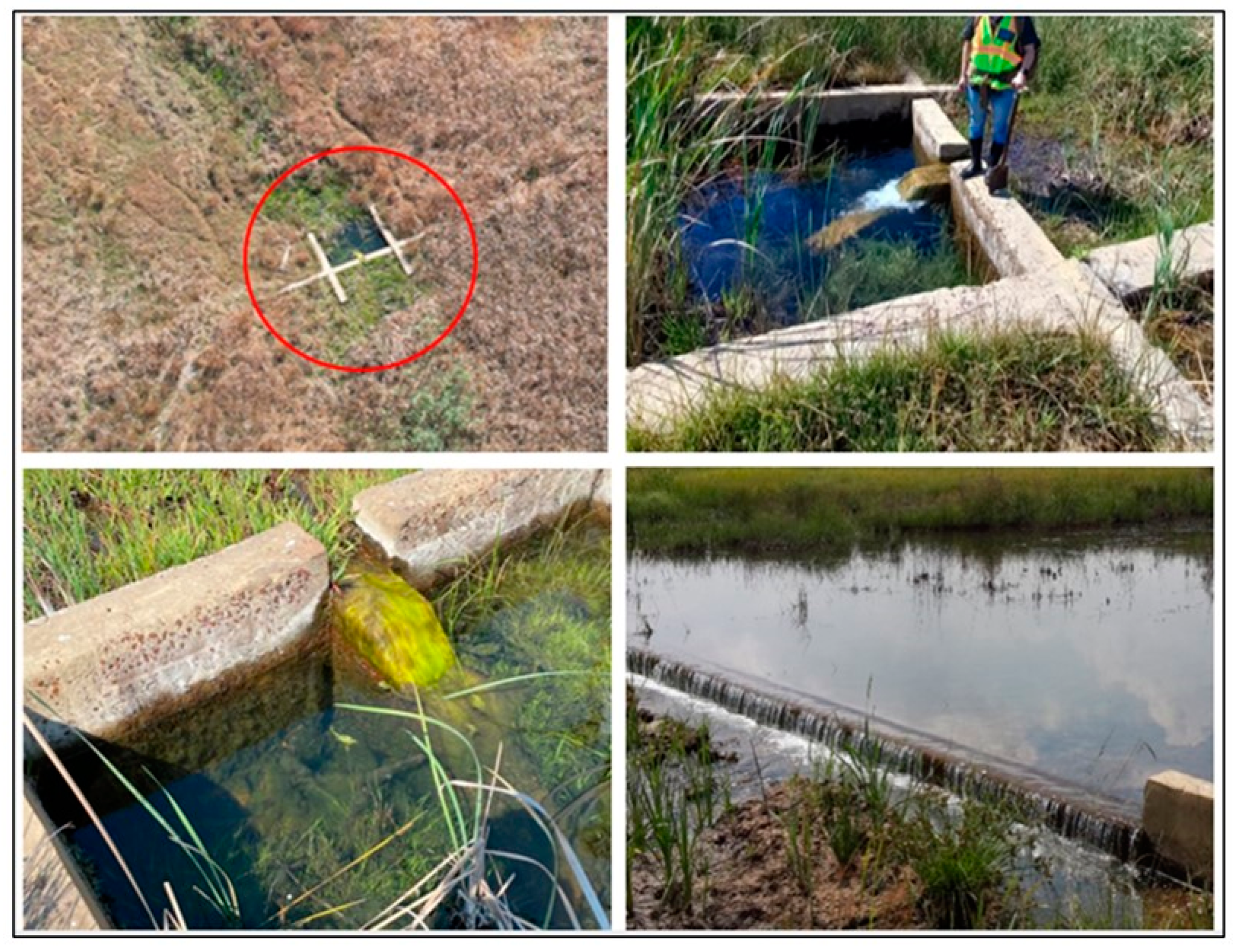 Applsci 14 07441 g003