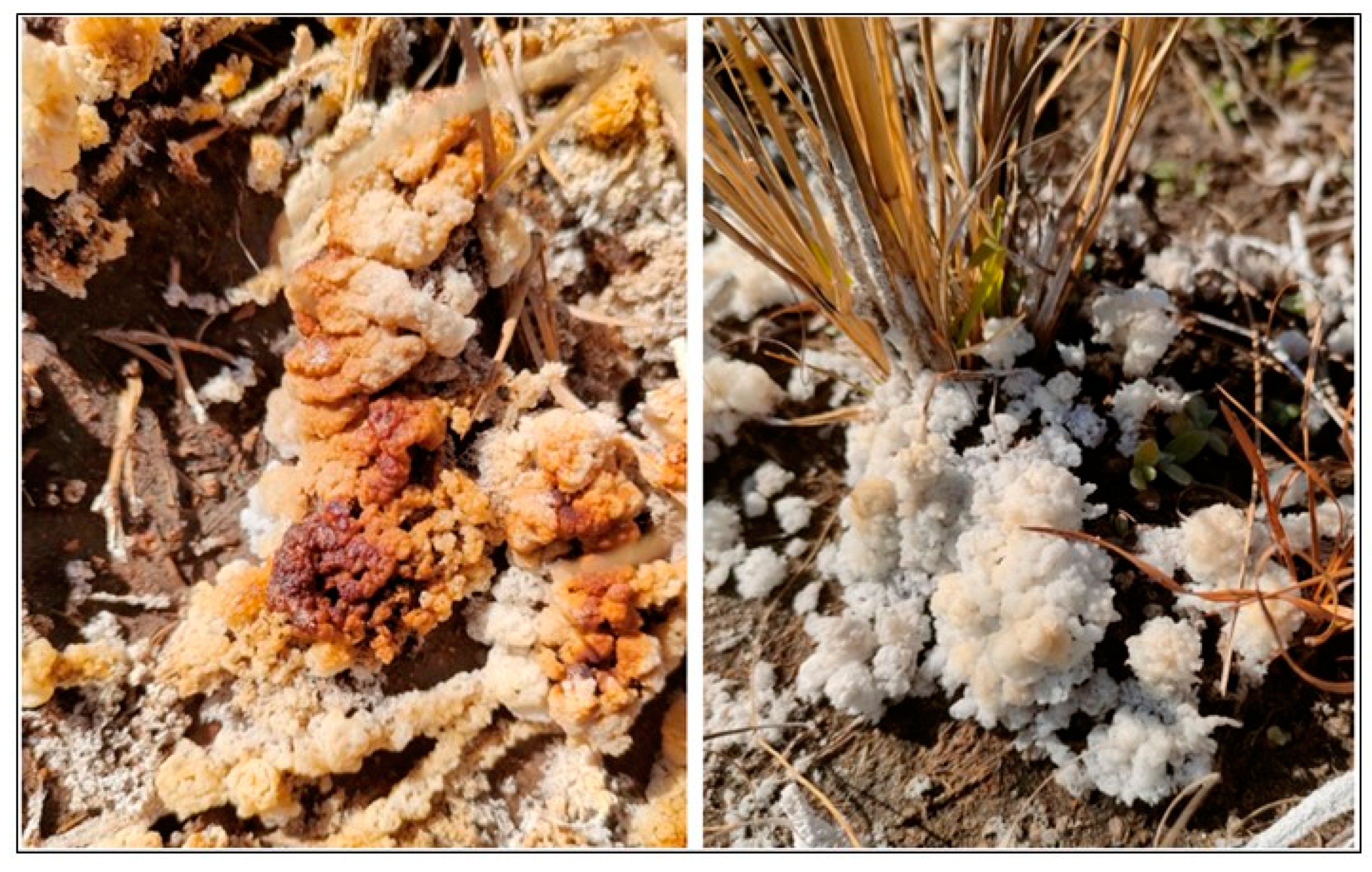 Applsci 14 07441 g009