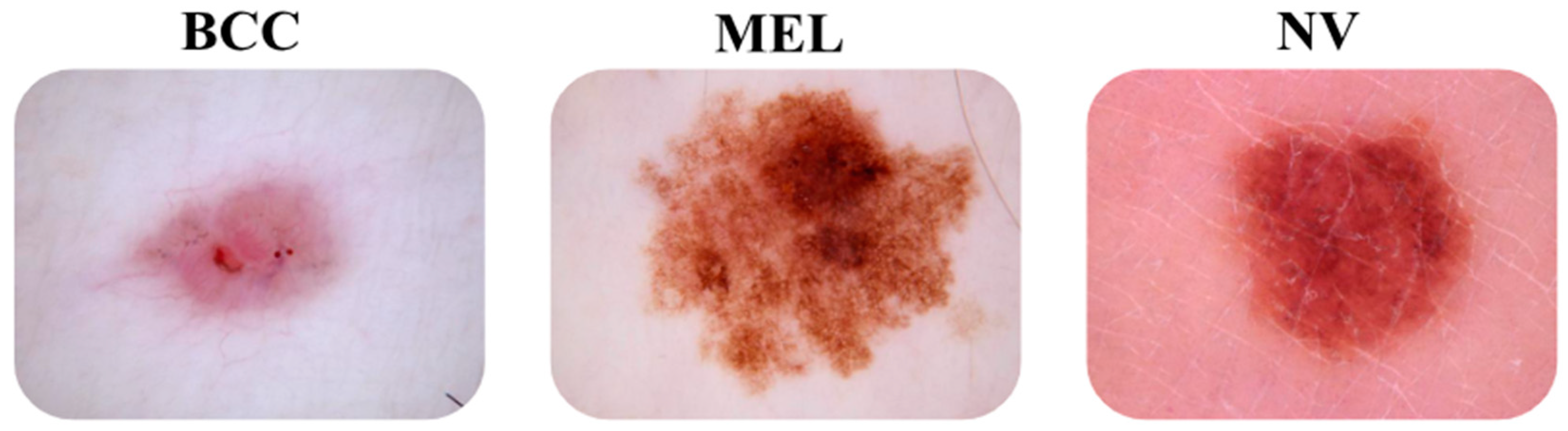 Applsci 14 07447 g001