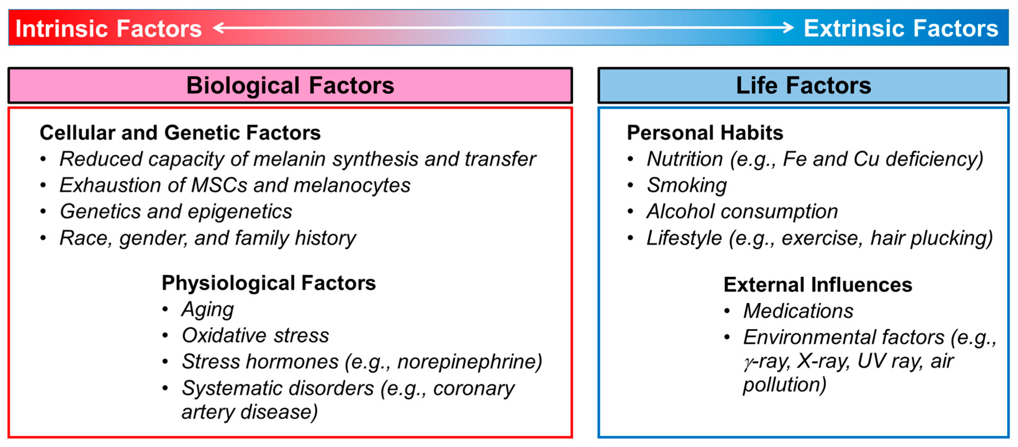 Applsci 14 07450 g001