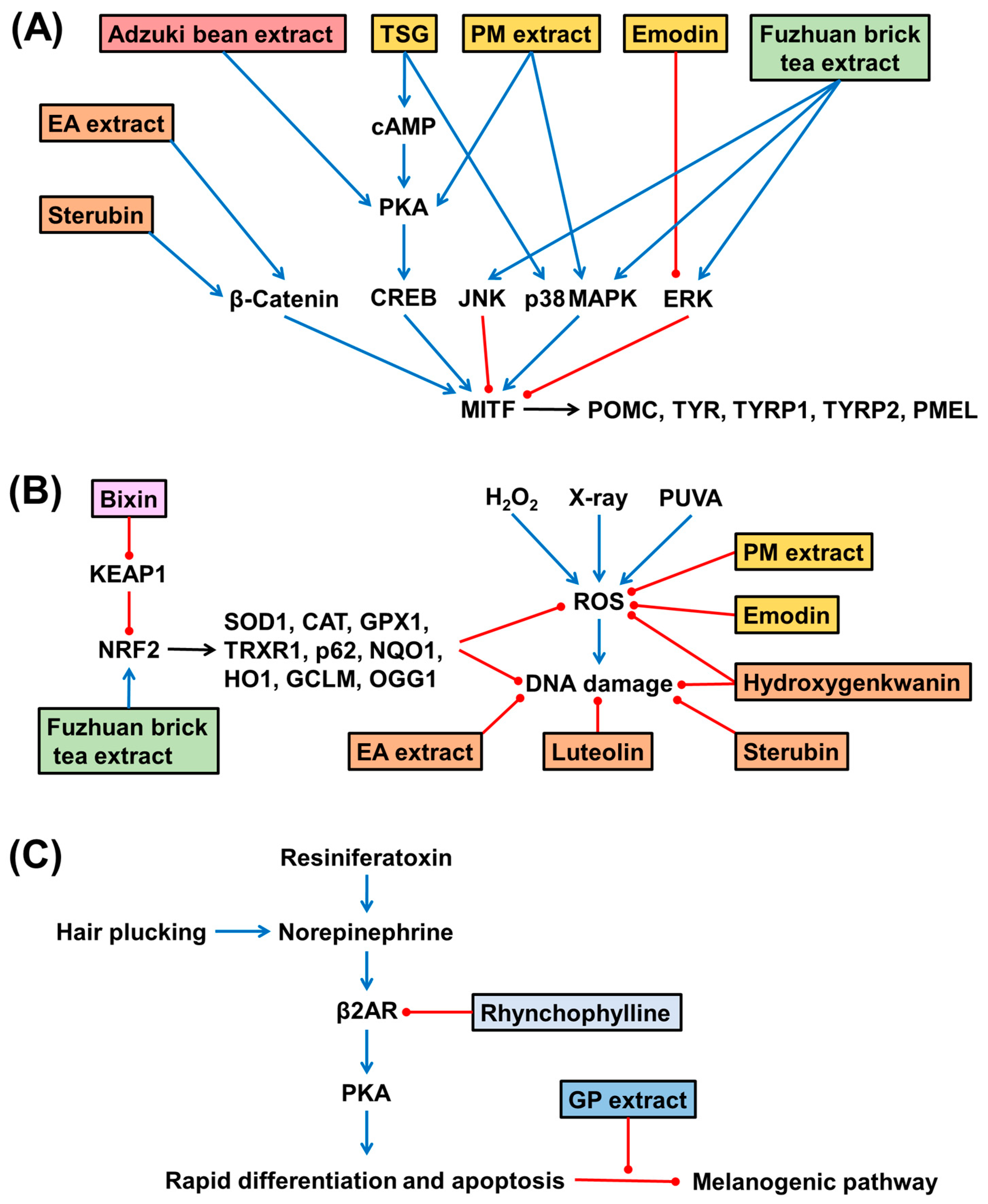 Applsci 14 07450 g002