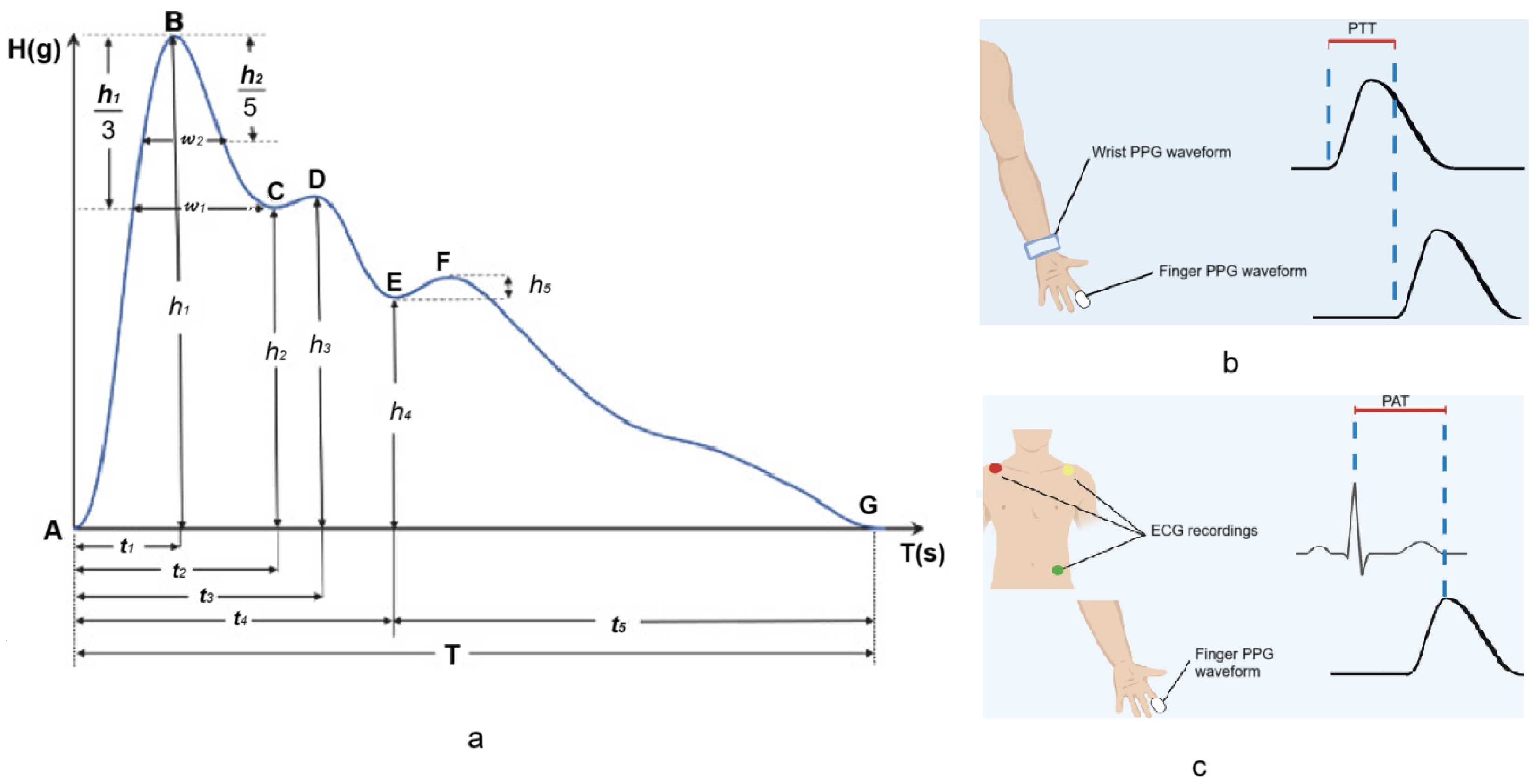 Applsci 14 07451 g007 Applsci 14 07451 g007
