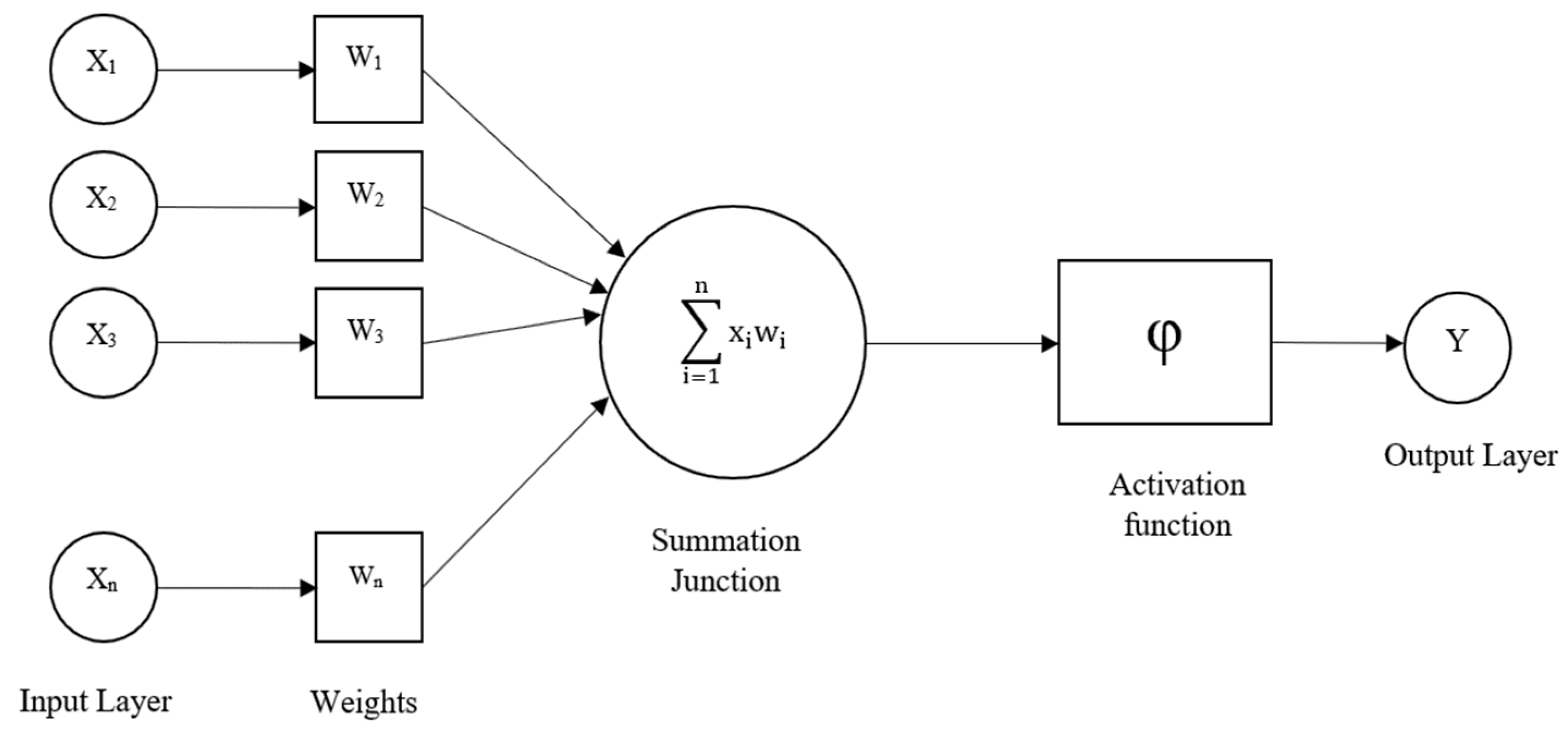 Applsci 14 07459 g001
