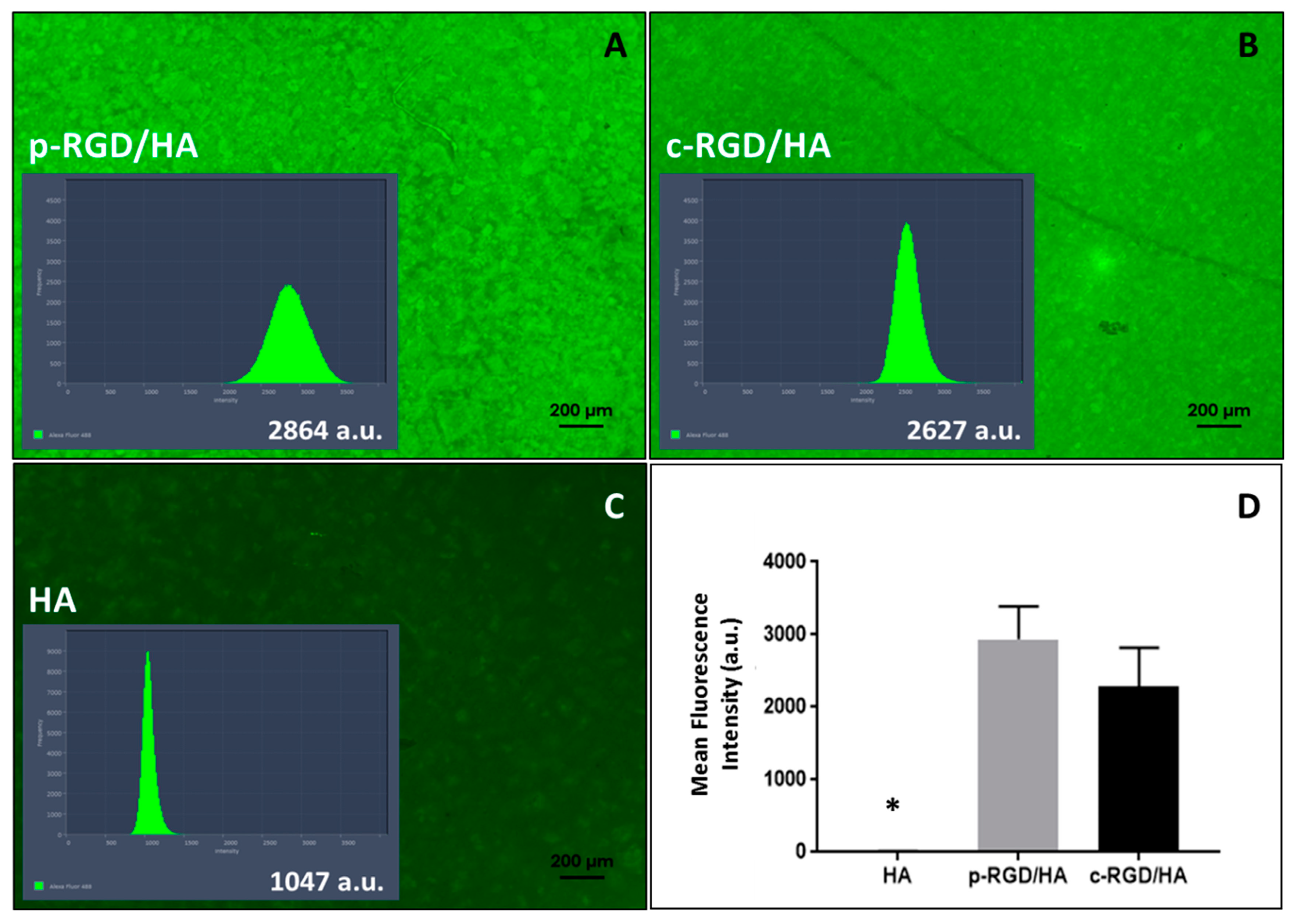 Applsci 14 07479 g003