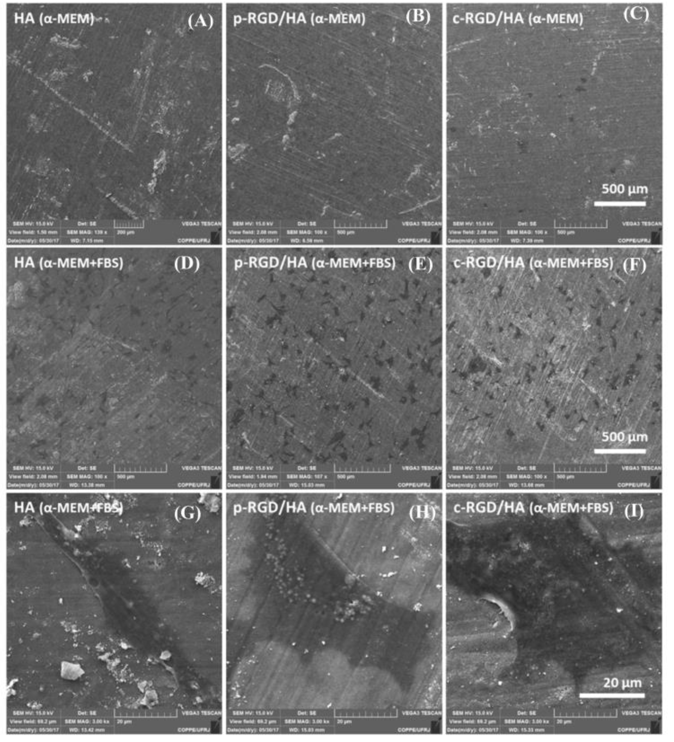 Applsci 14 07479 g005