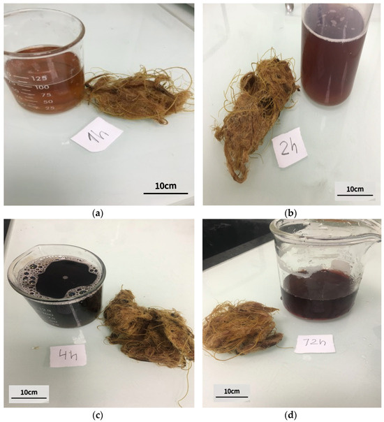 Applsci 14 07540 g004