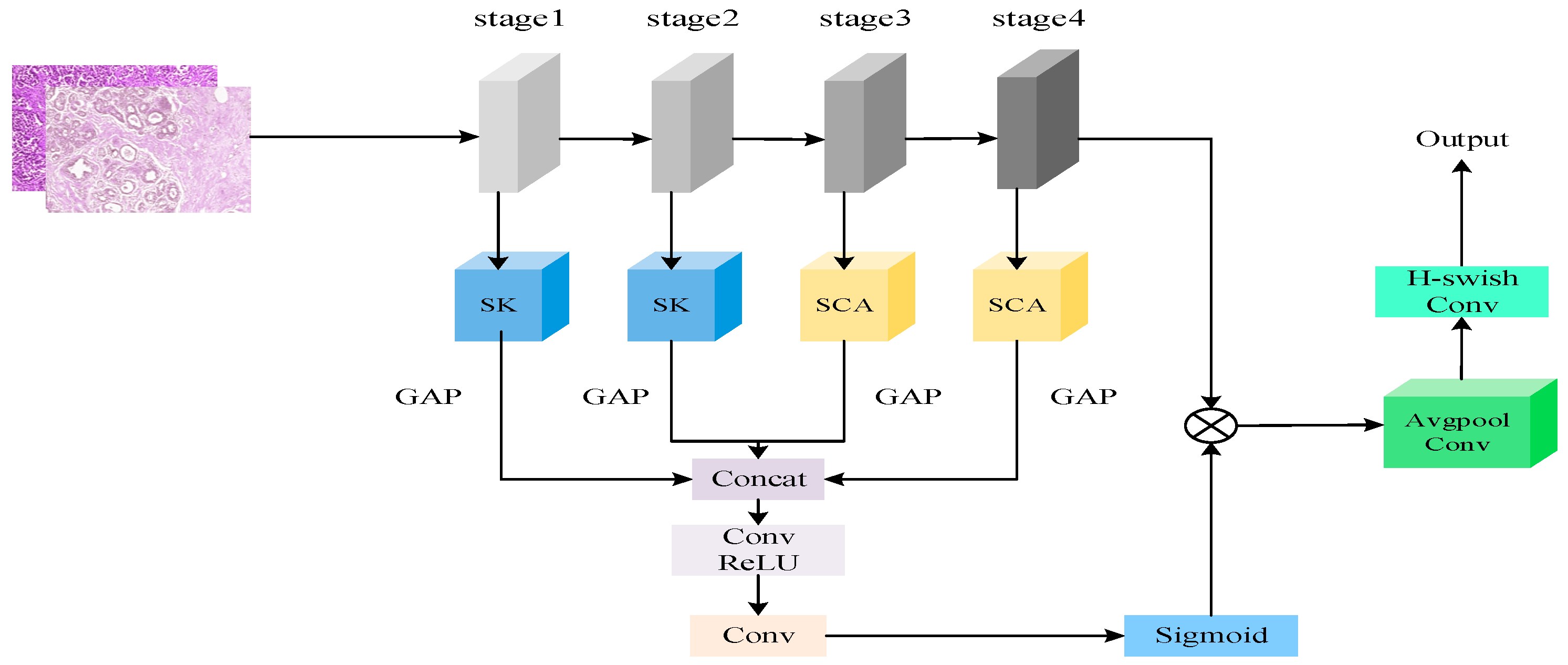 Applsci 14 07564 g001