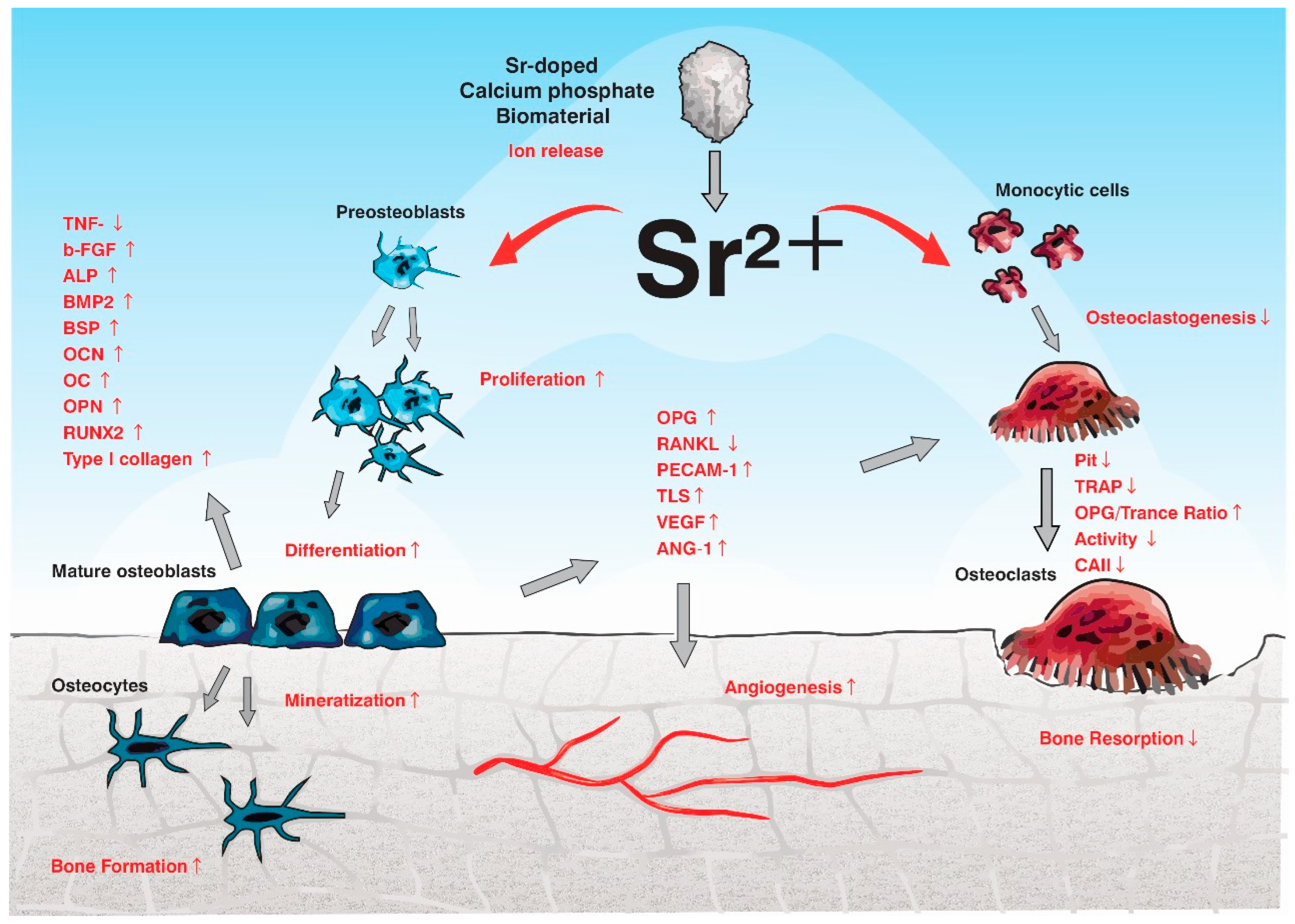 Applsci 14 07566 g003