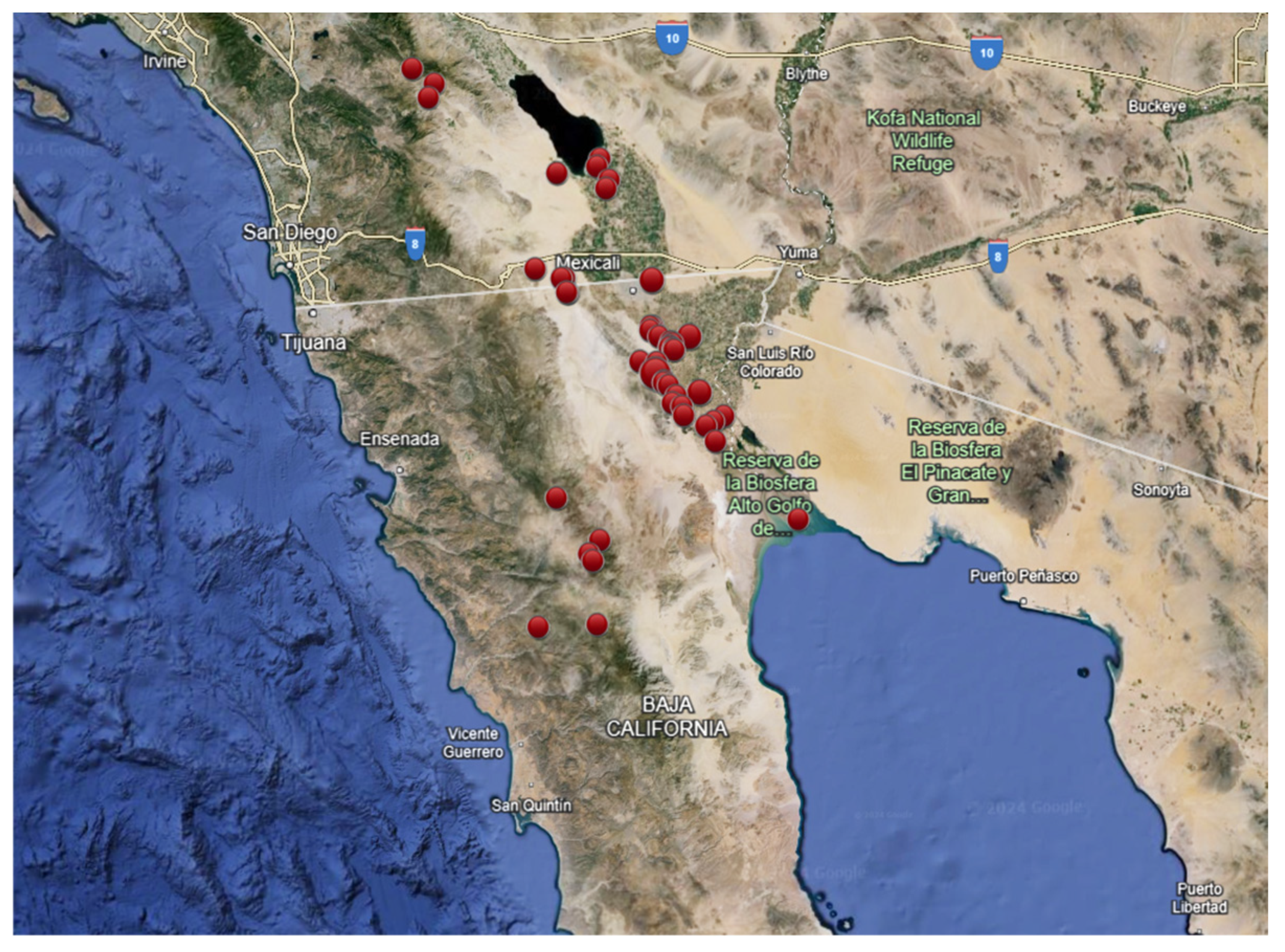 Applsci 14 07586 g001