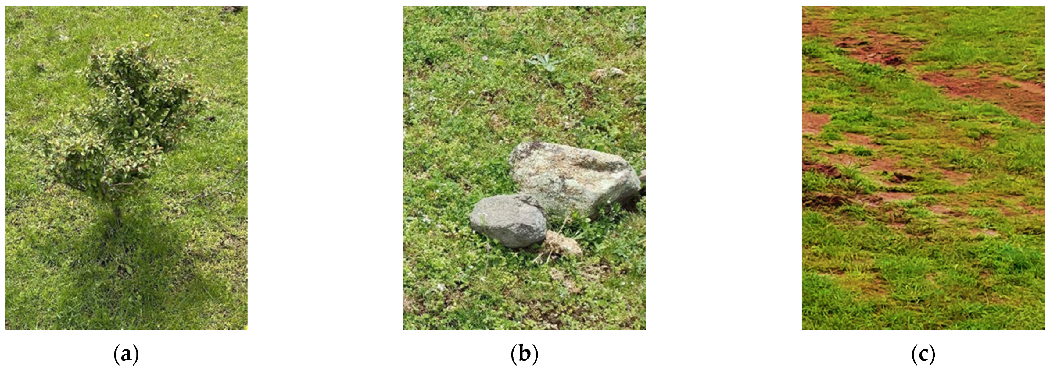 Applsci 14 07599 g002