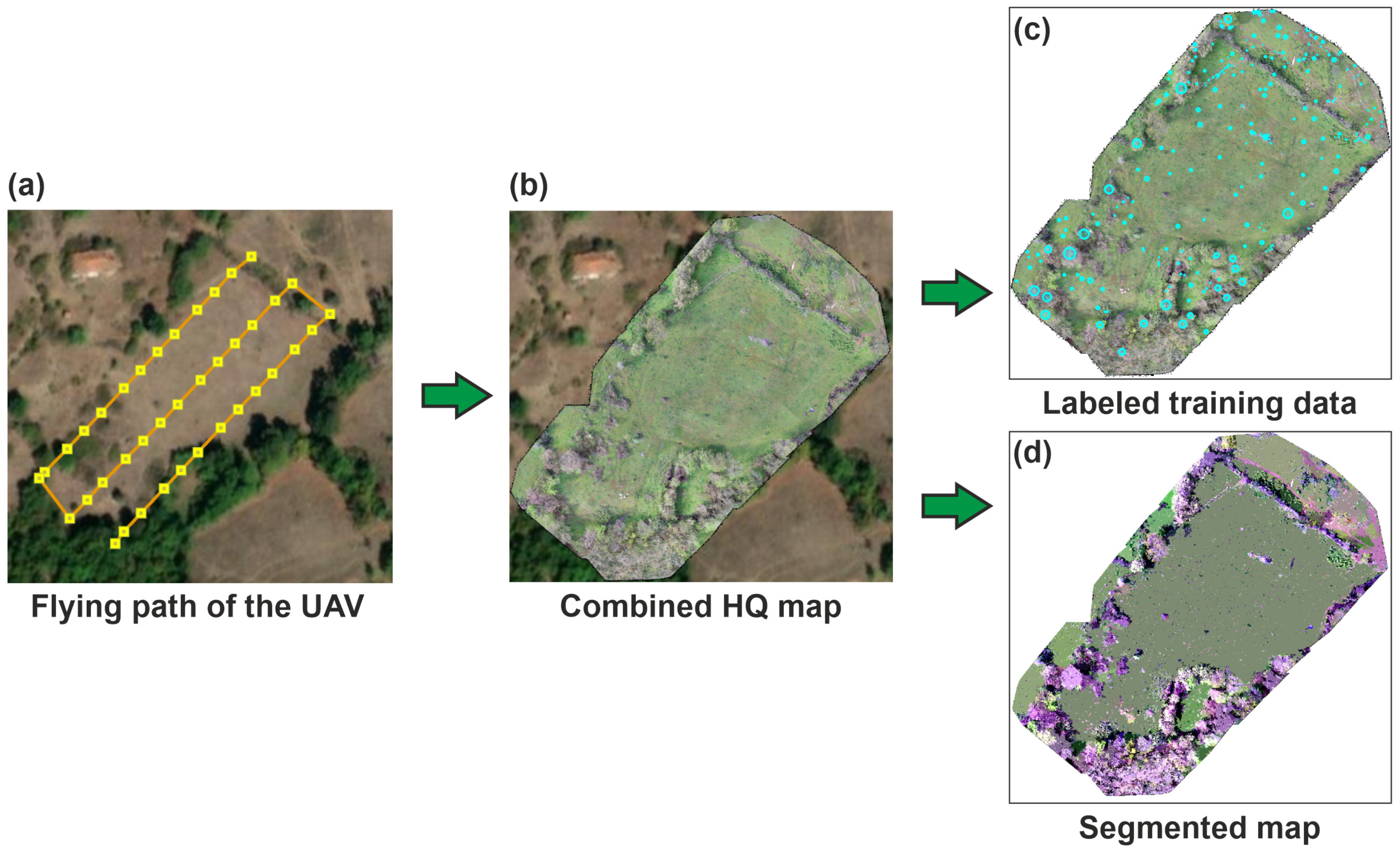 Applsci 14 07599 g004