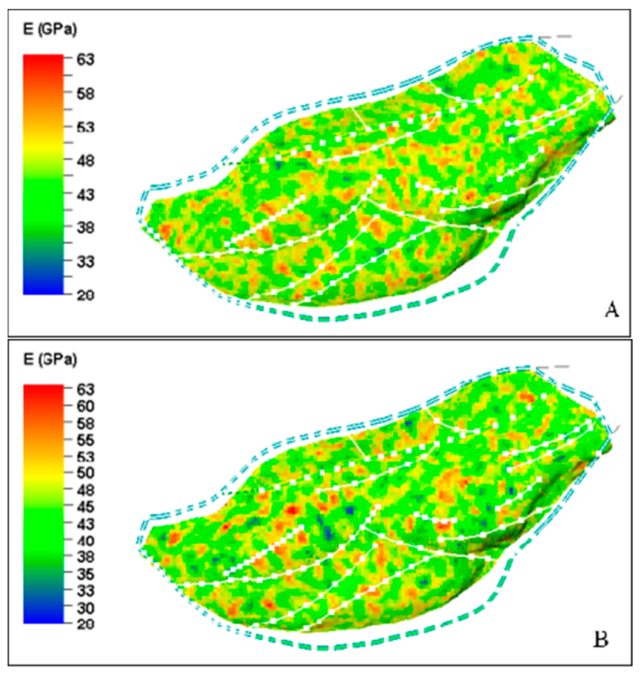 Applsci 14 07644 g022