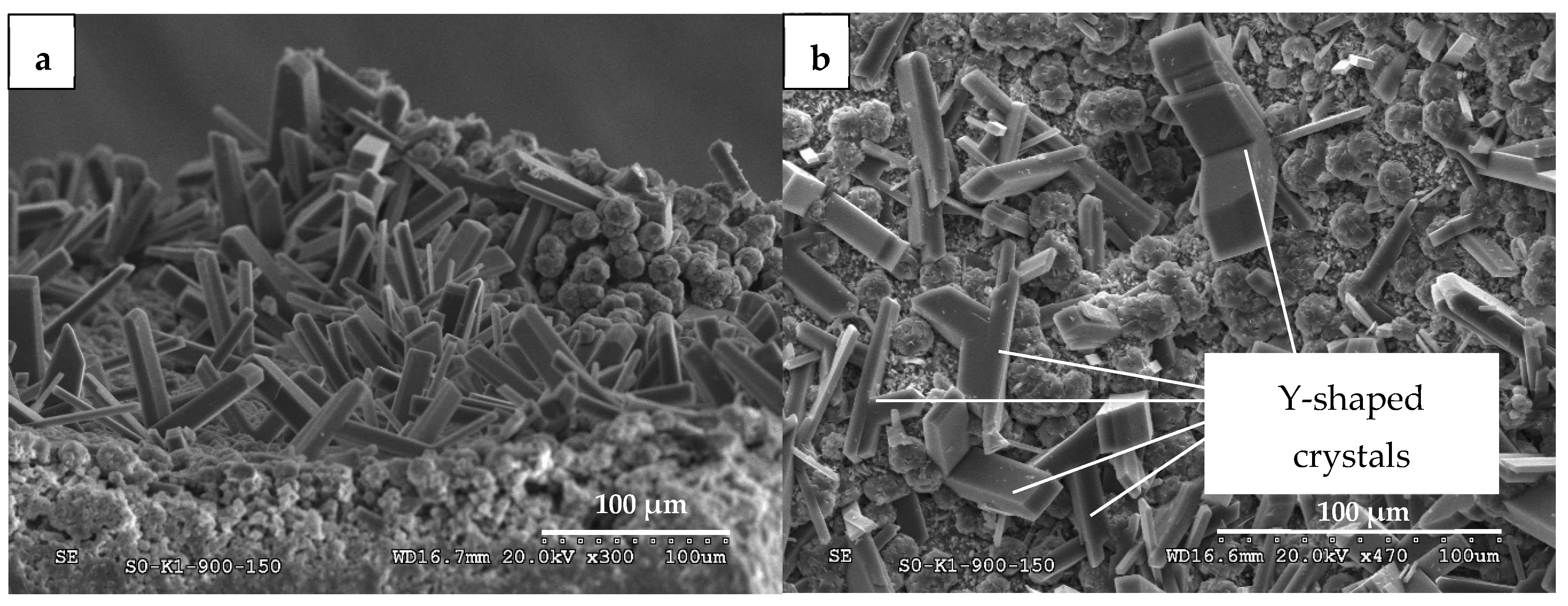 Applsci 14 07674 g007