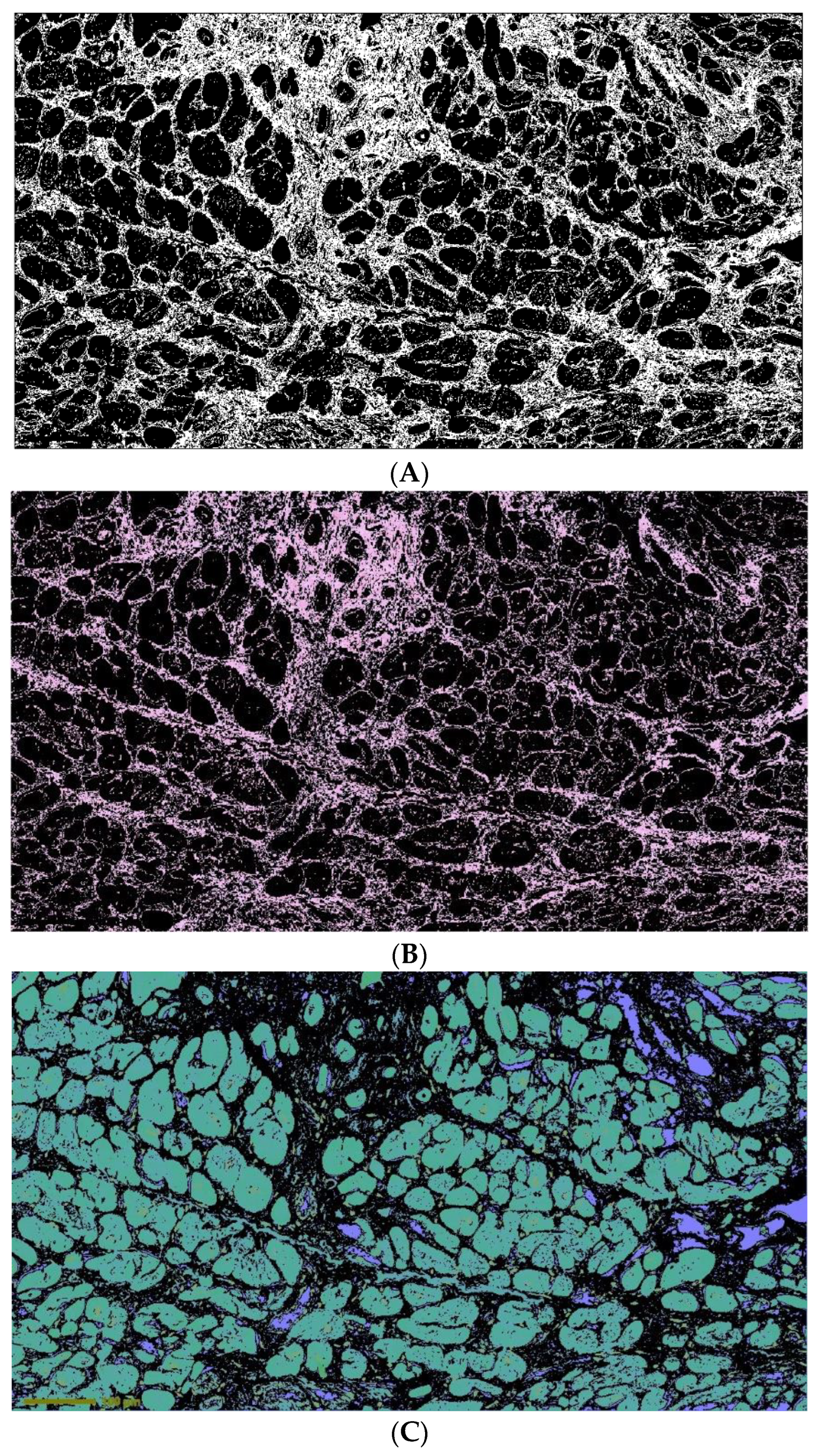 Applsci 14 07696 g002