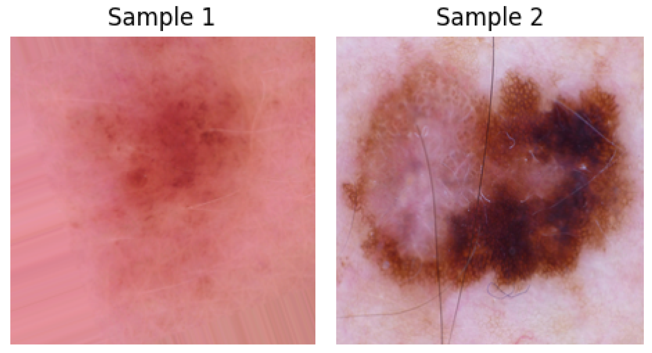 Applsci 14 07707 g001