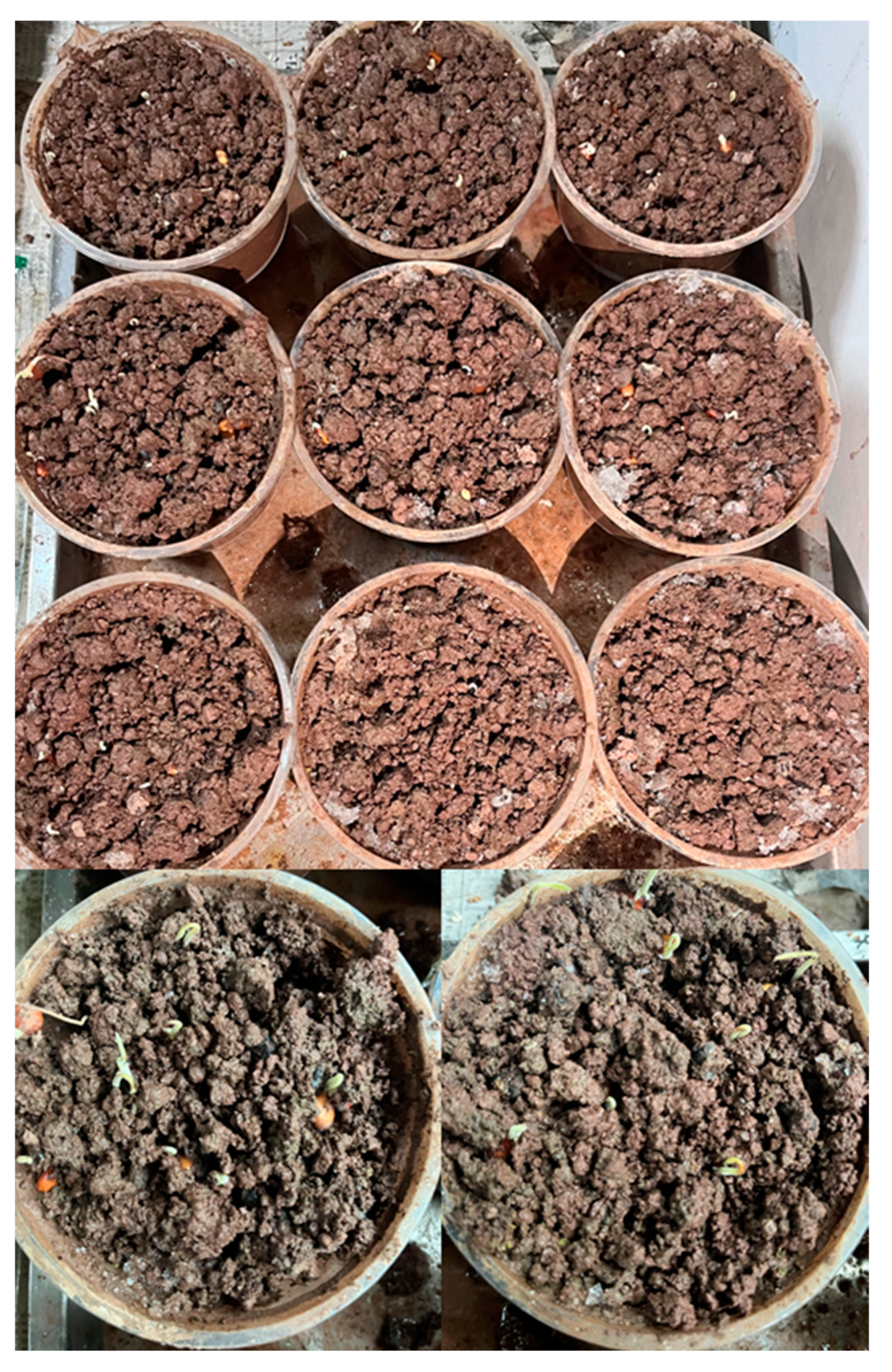 Applsci 14 07715 g003