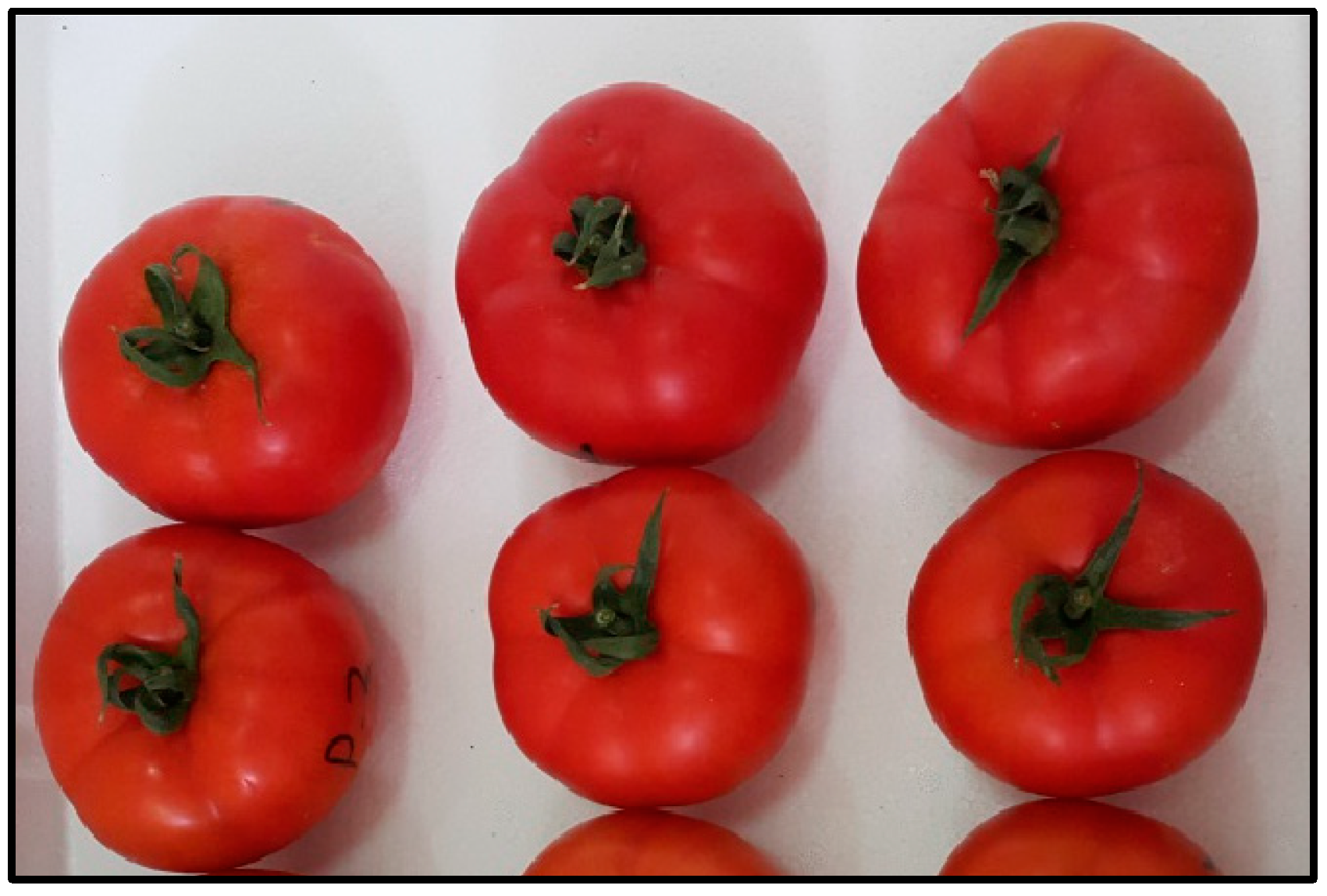 Applsci 14 07741 g001