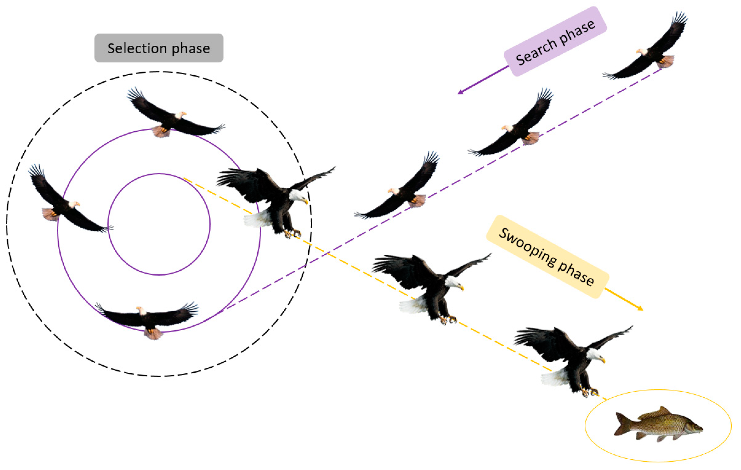 Applsci 14 07744 g012