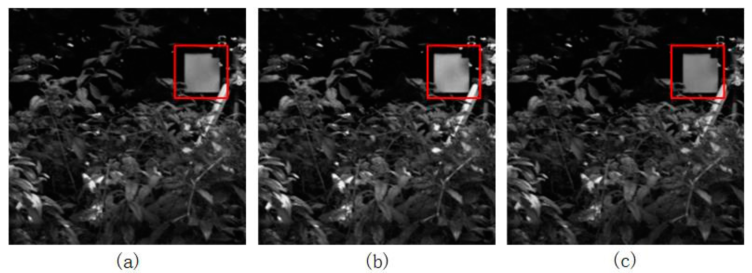 Applsci 14 07764 g005