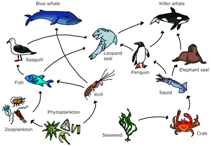 Applsci 14 07782 i008