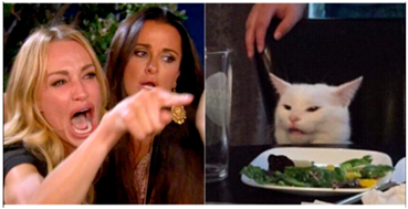 Applsci 14 07782 i011