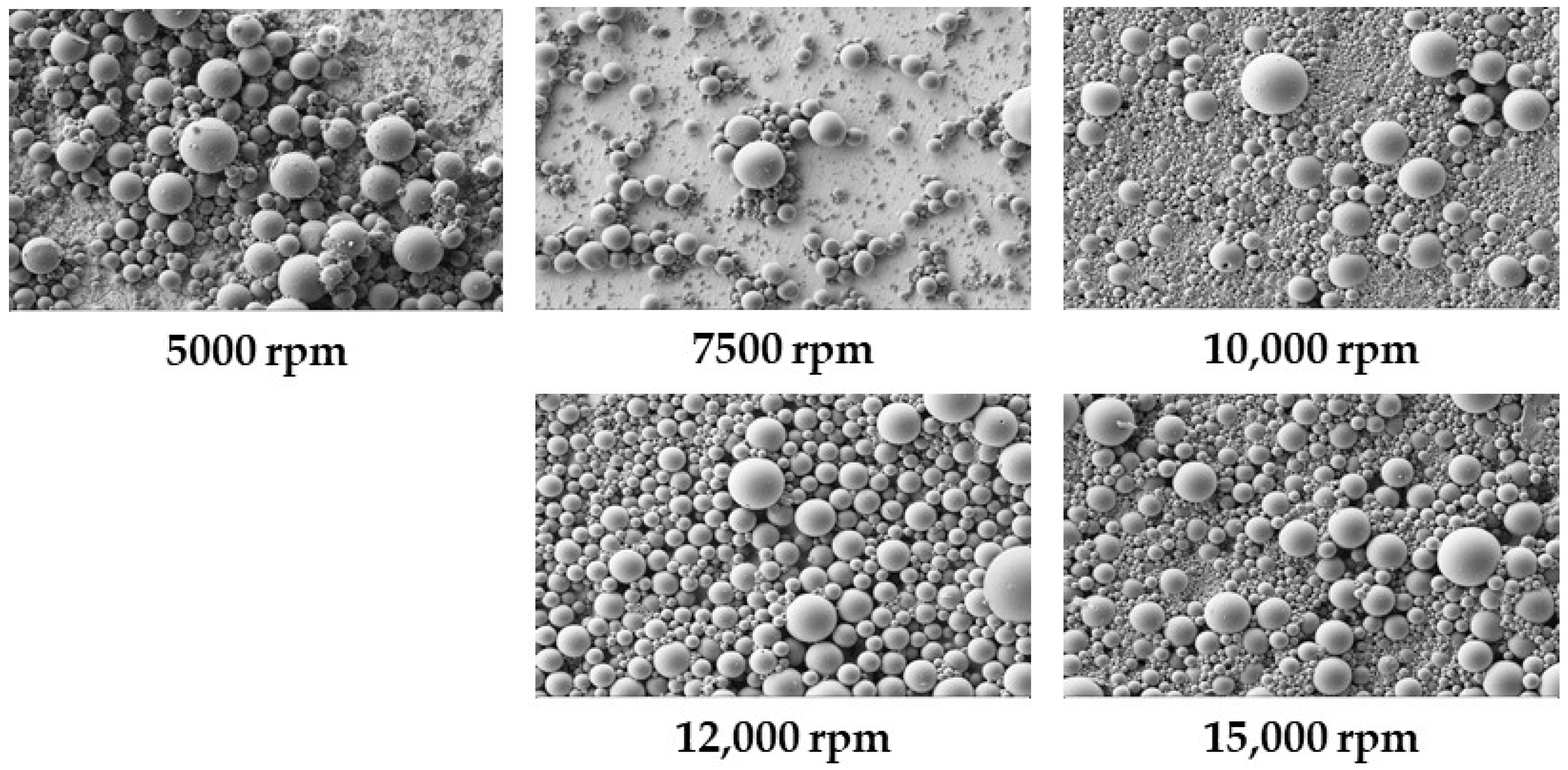 Applsci 14 07807 g002