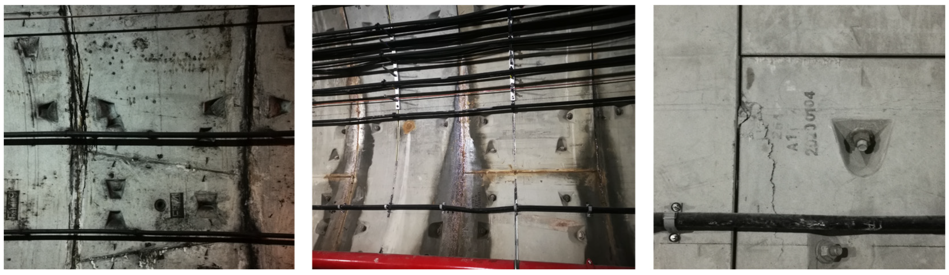 Applsci 14 07824 g001