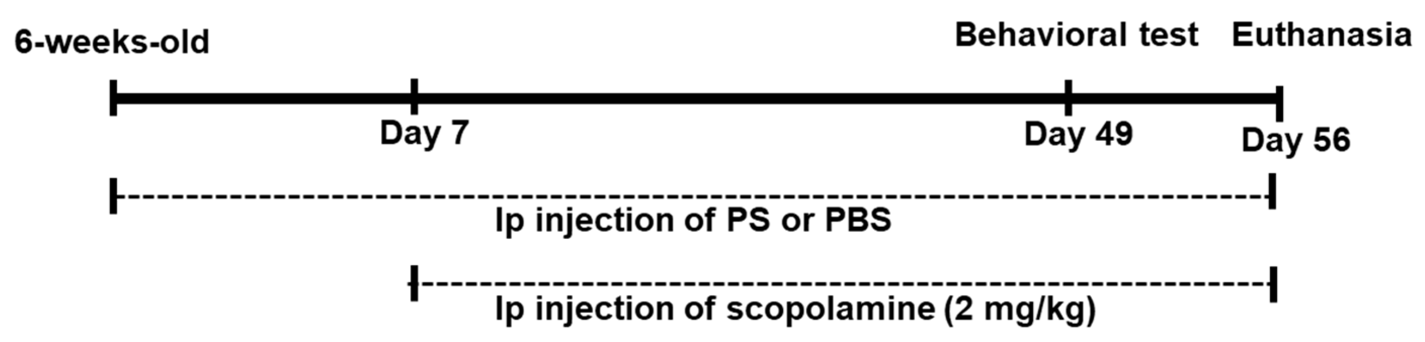 Applsci 14 07830 g001